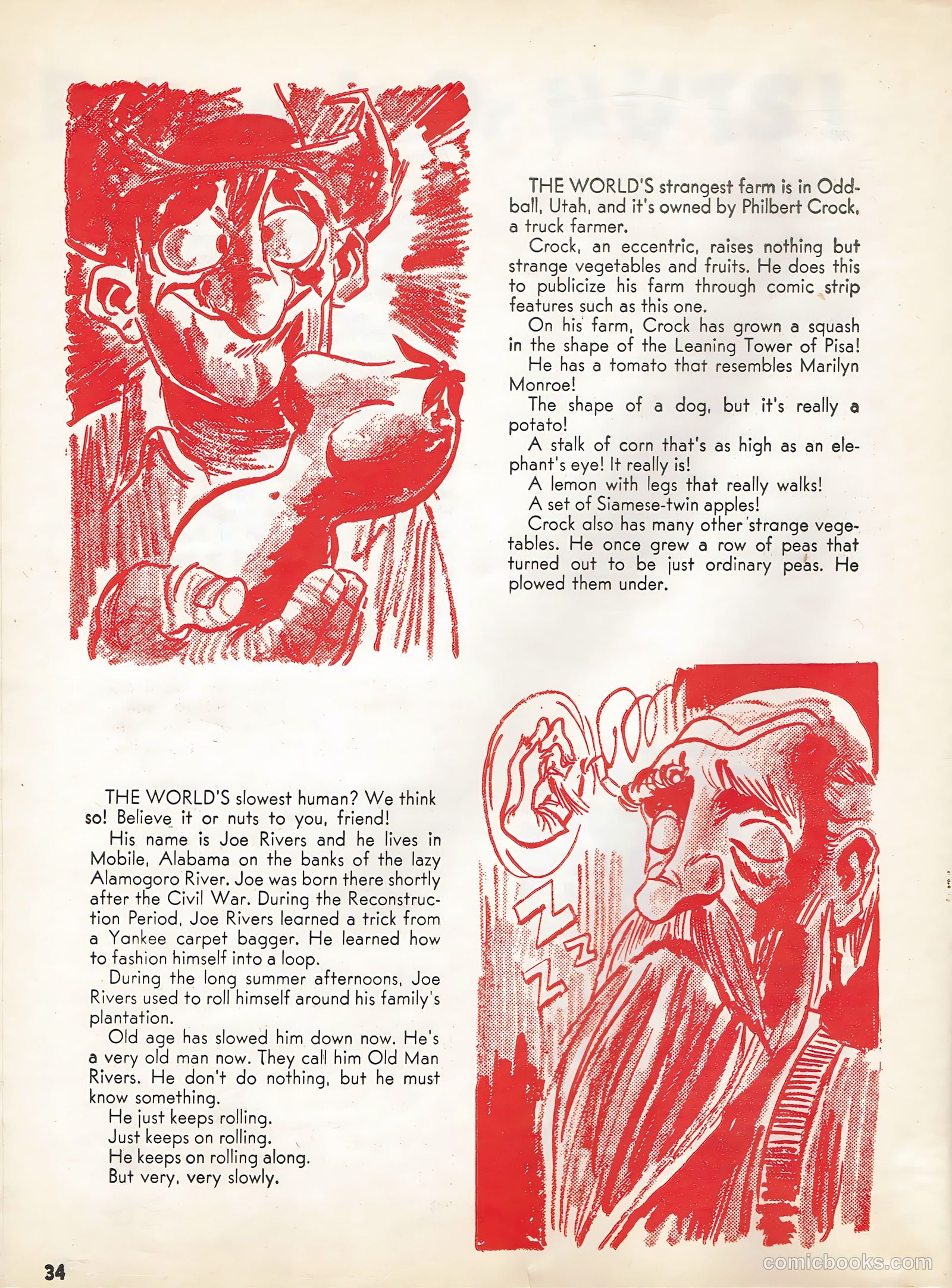 This Magazine Is Crazy #4 — page 33 of 50