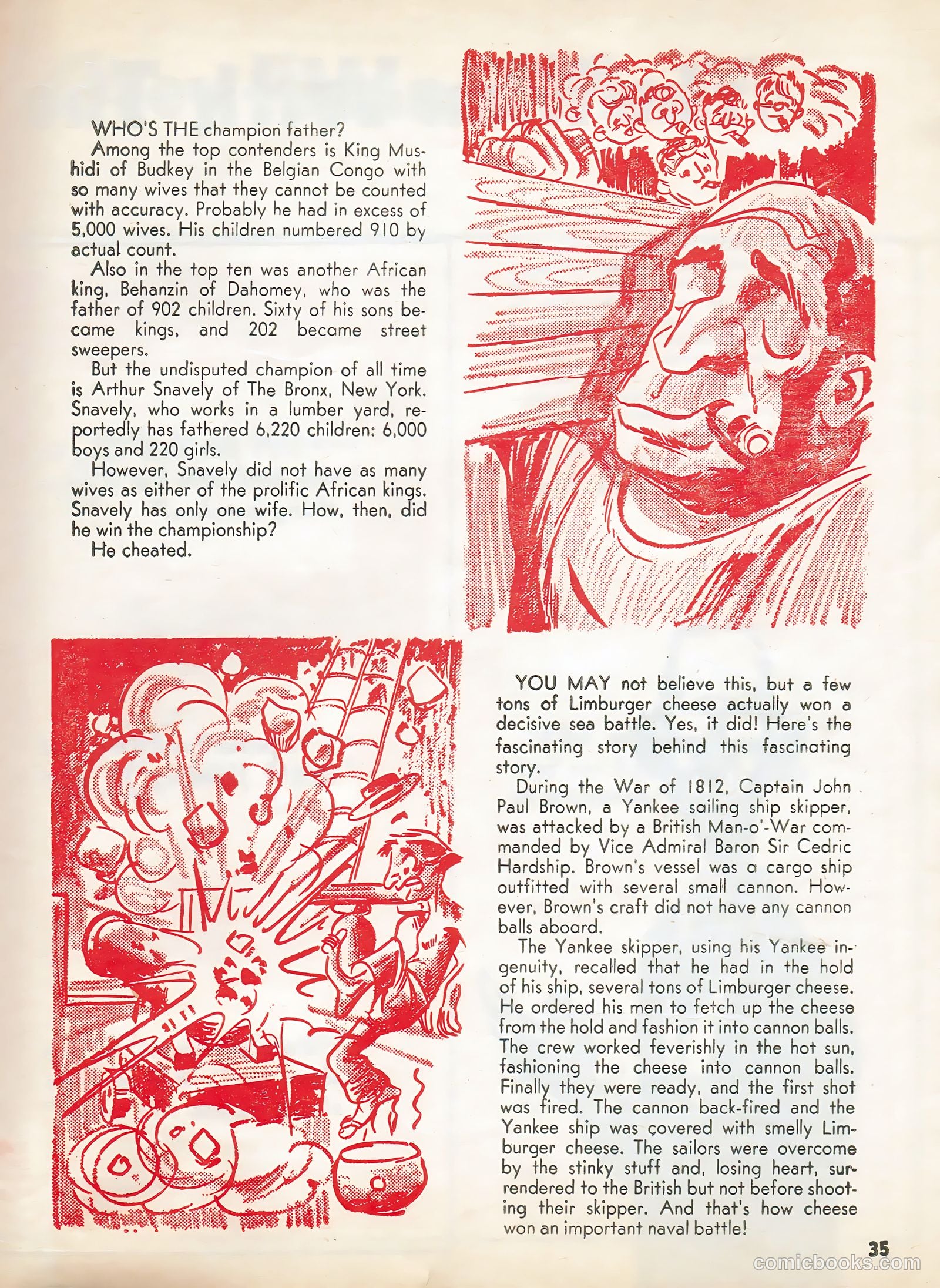 This Magazine Is Crazy #4 — page 34 of 50
