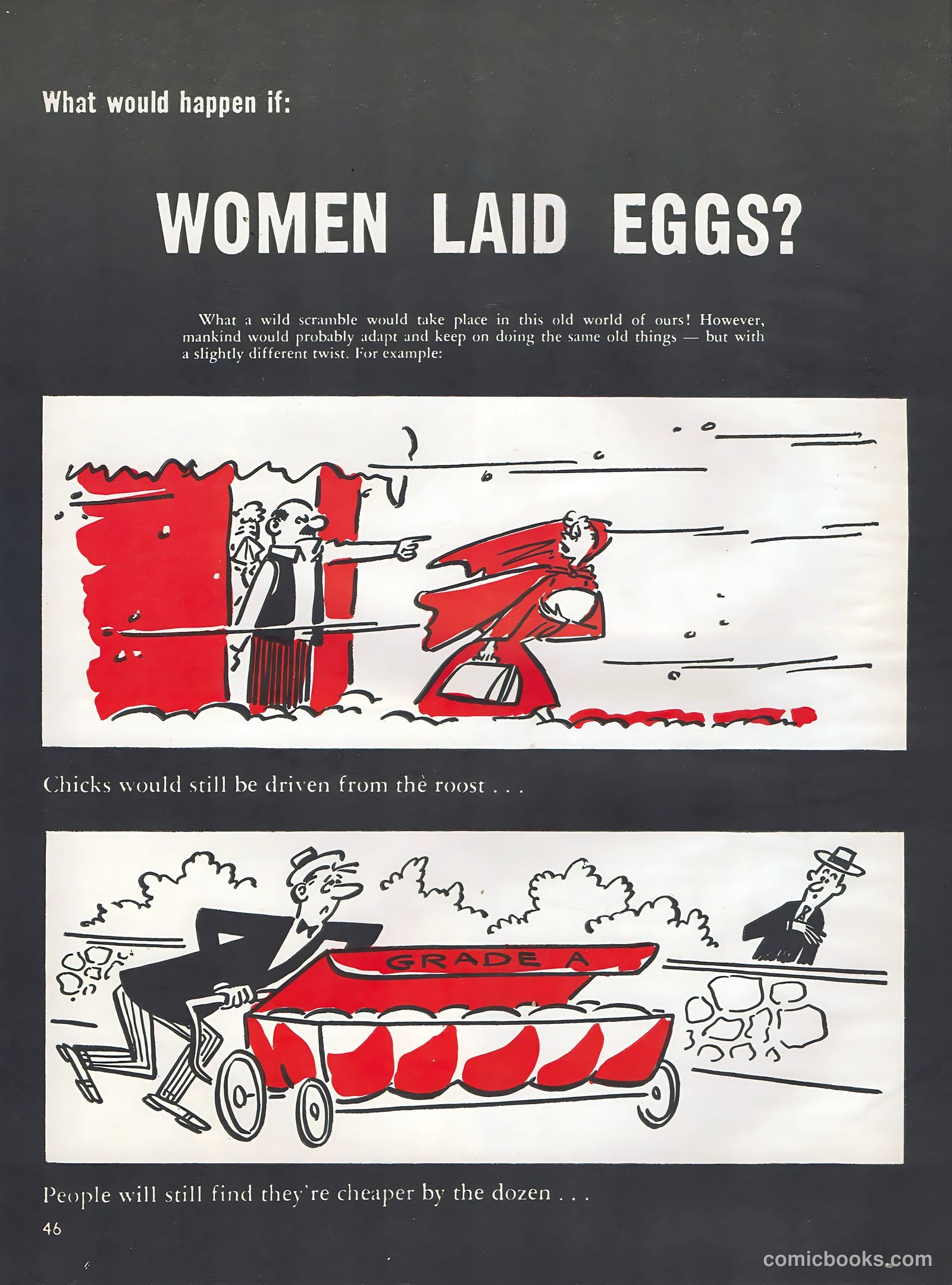 This Magazine Is Crazy #5 — page 43 of 49
