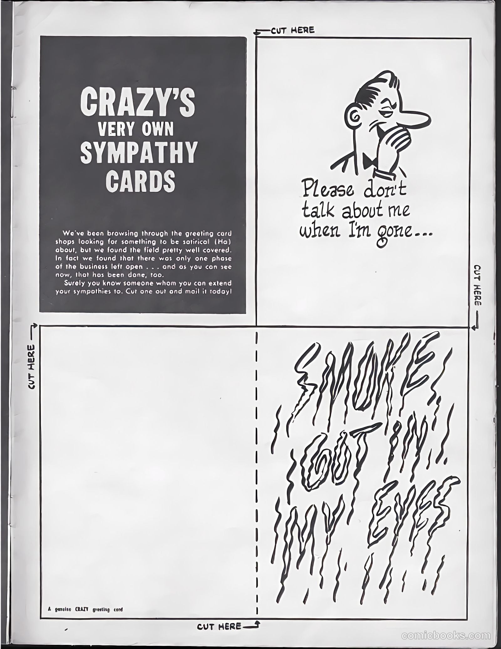 This Magazine Is Crazy #7 — page 41 of 52