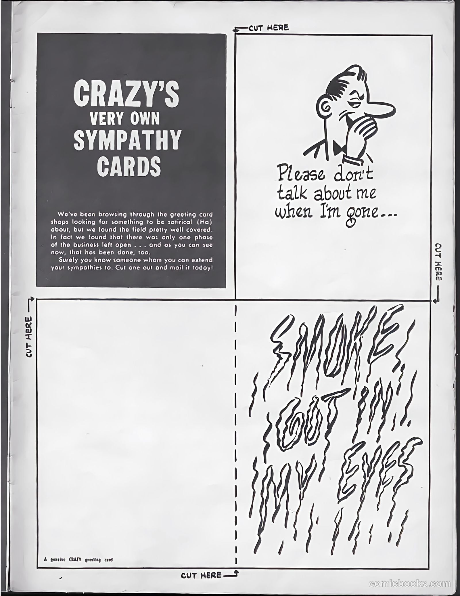 This Magazine Is Crazy #8 — page 41 of 52