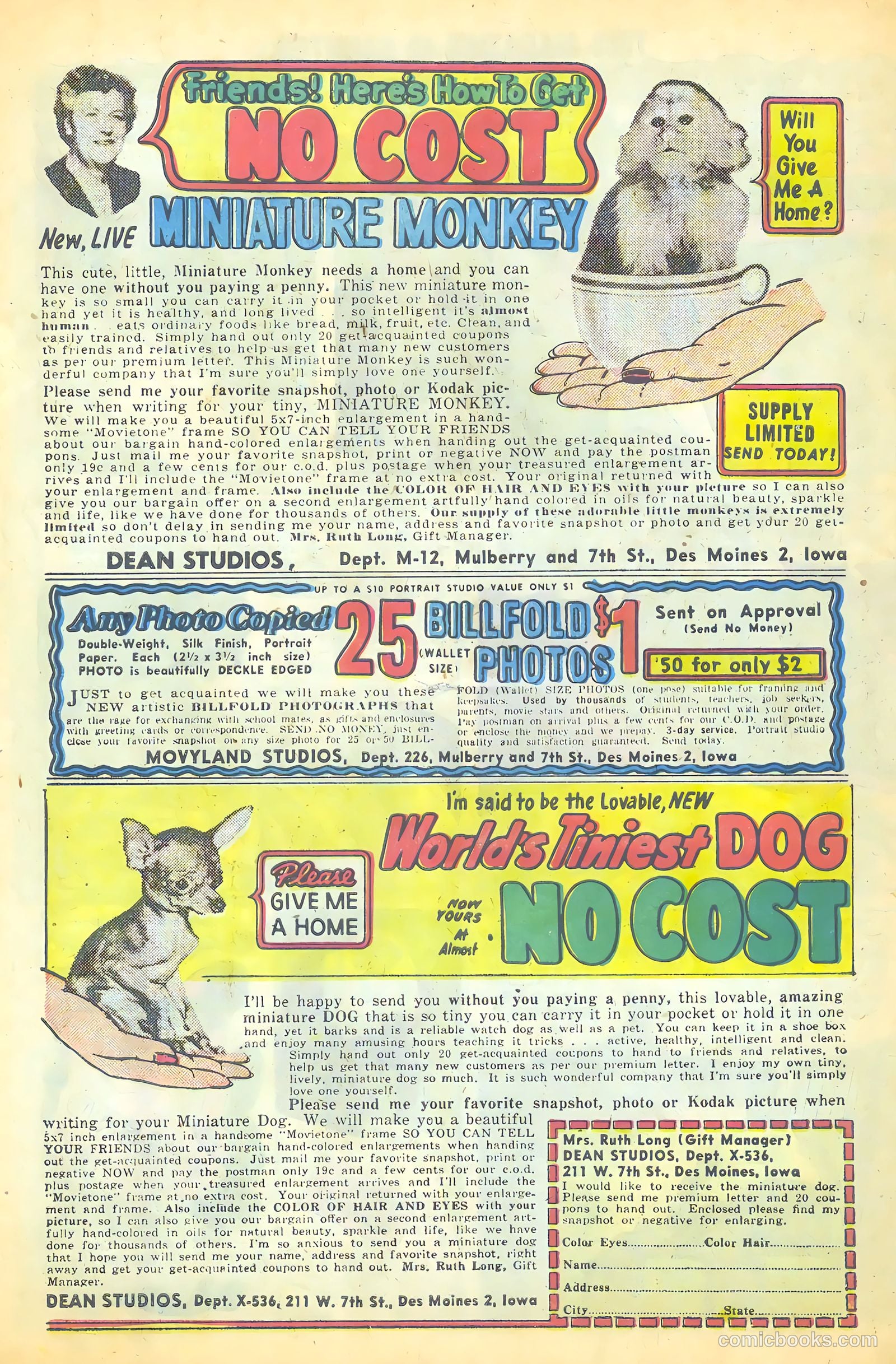 This Magazine Is Haunted #14 — page 34 of 36