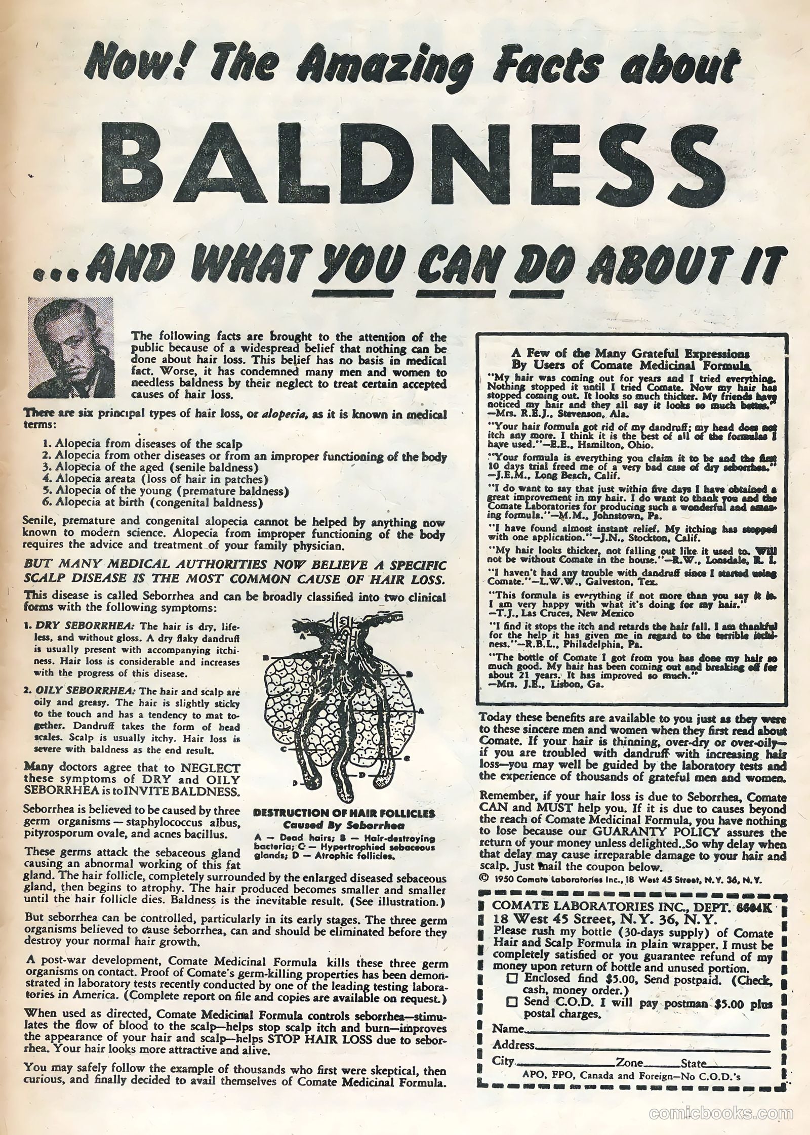 This Magazine Is Haunted #17 — page 33 of 36