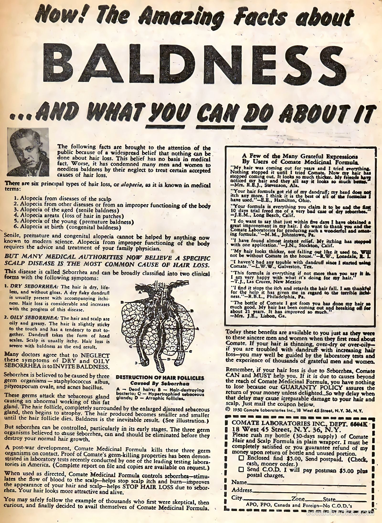 This Magazine Is Haunted #17 — page 33 of 36
