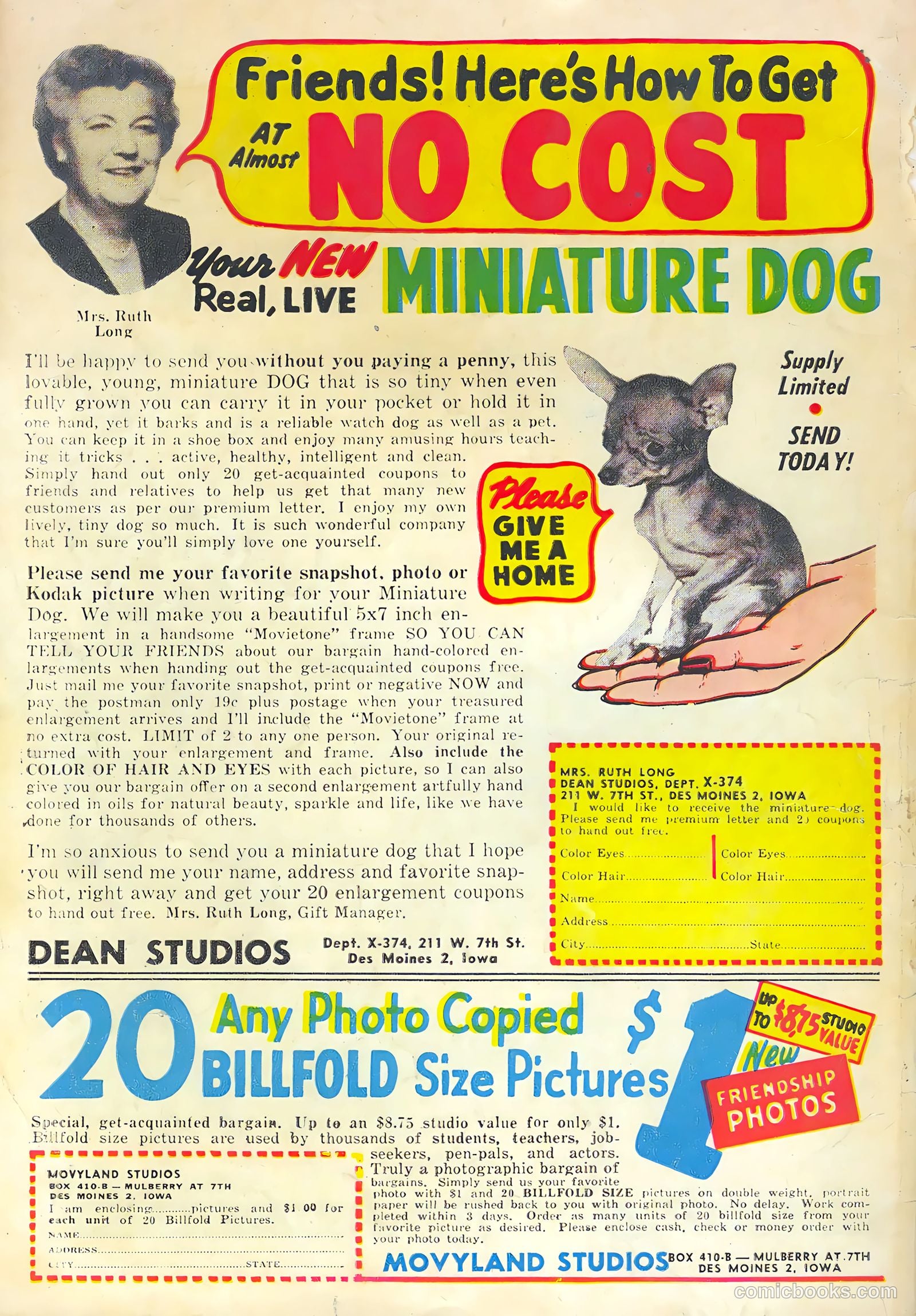 This Magazine Is Haunted #18 — page 36 of 36