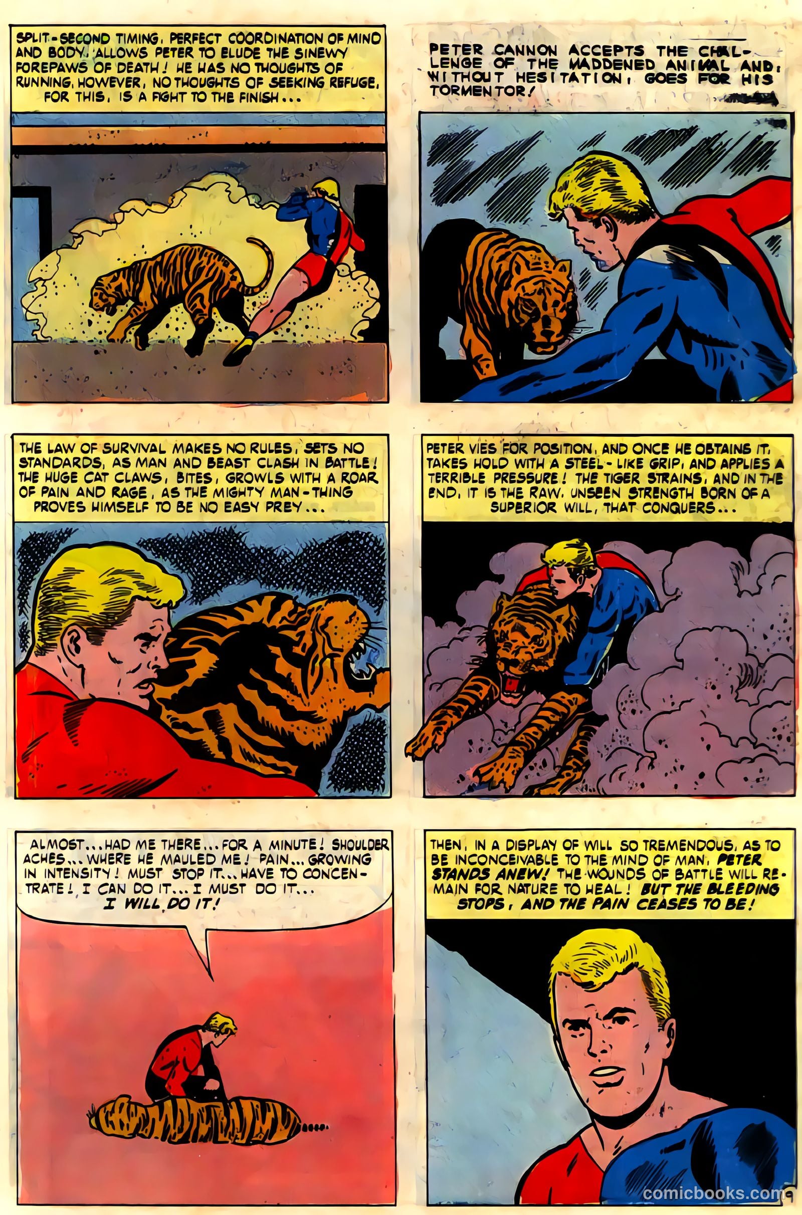 Thunderbolt #1 — page 15 of 36