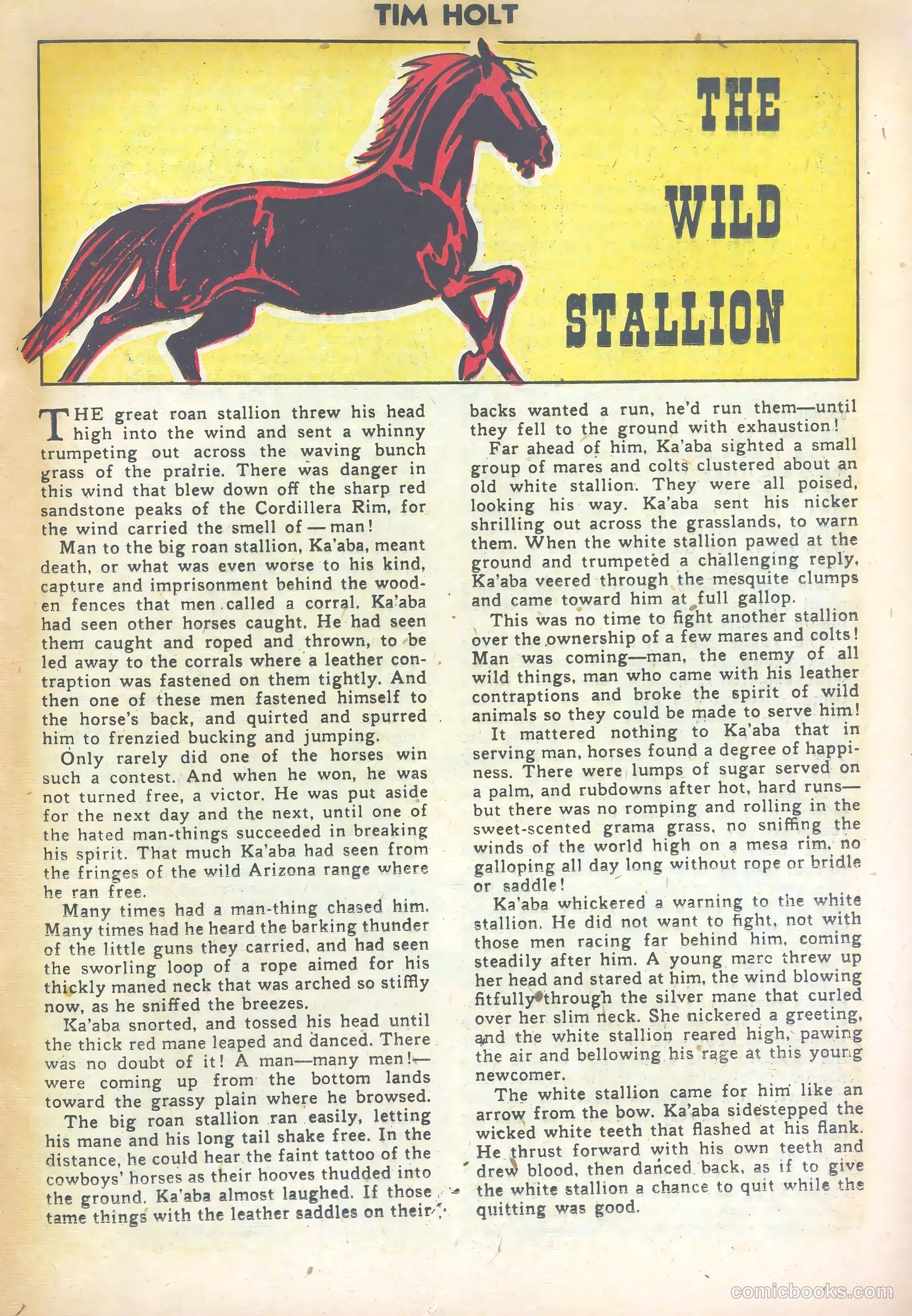 Tim Holt #26 — page 17 of 36