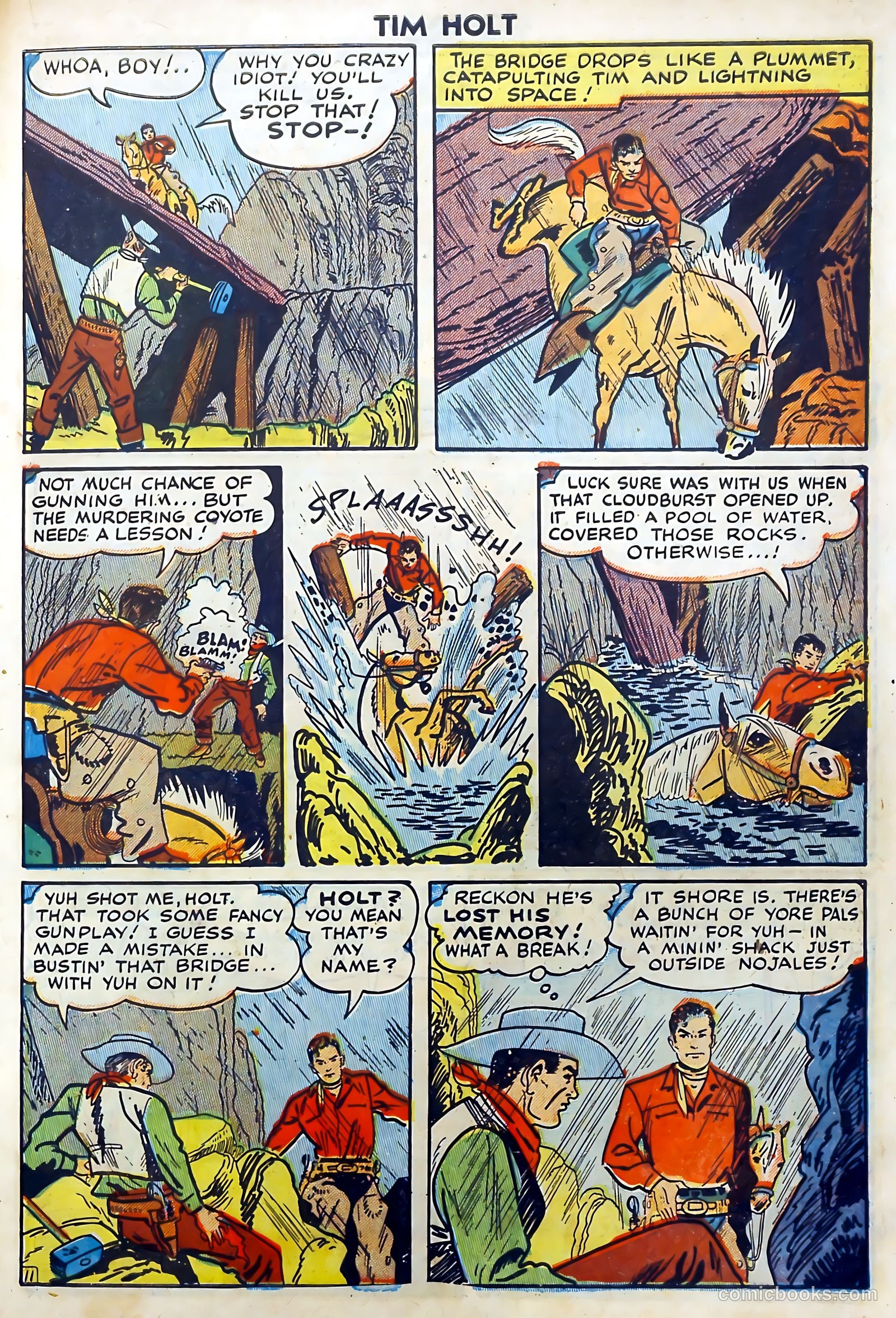 Tim Holt #3 — page 21 of 36