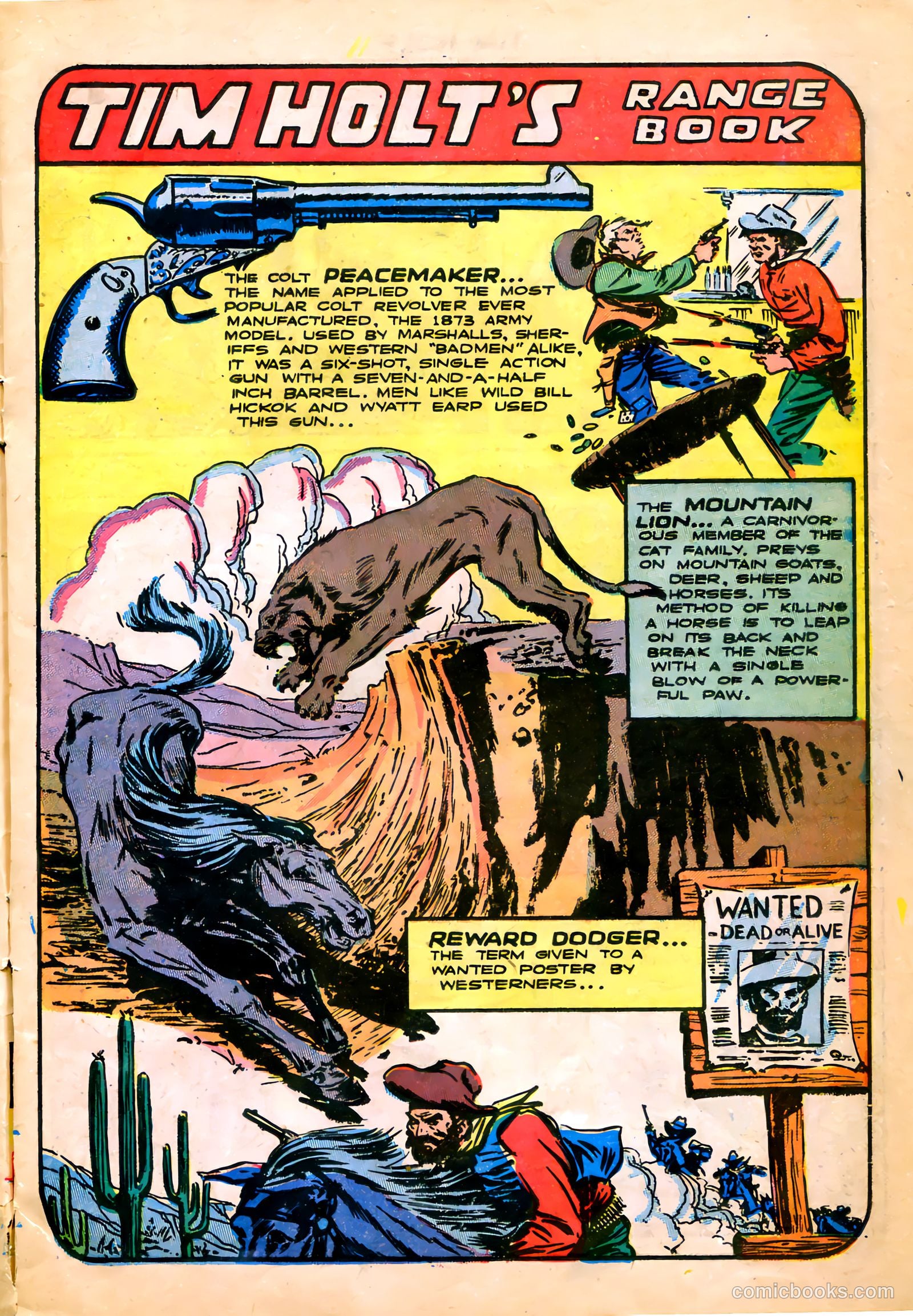 Tim Holt #7 — page 13 of 36