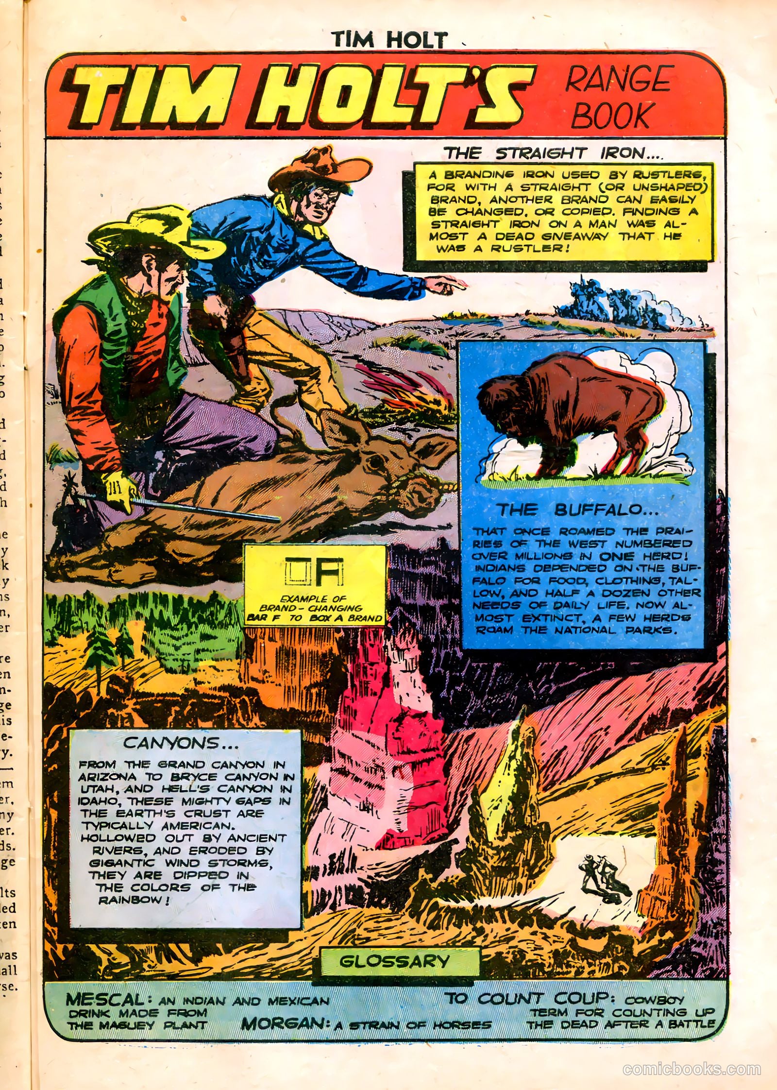 Tim Holt #8 — page 27 of 36