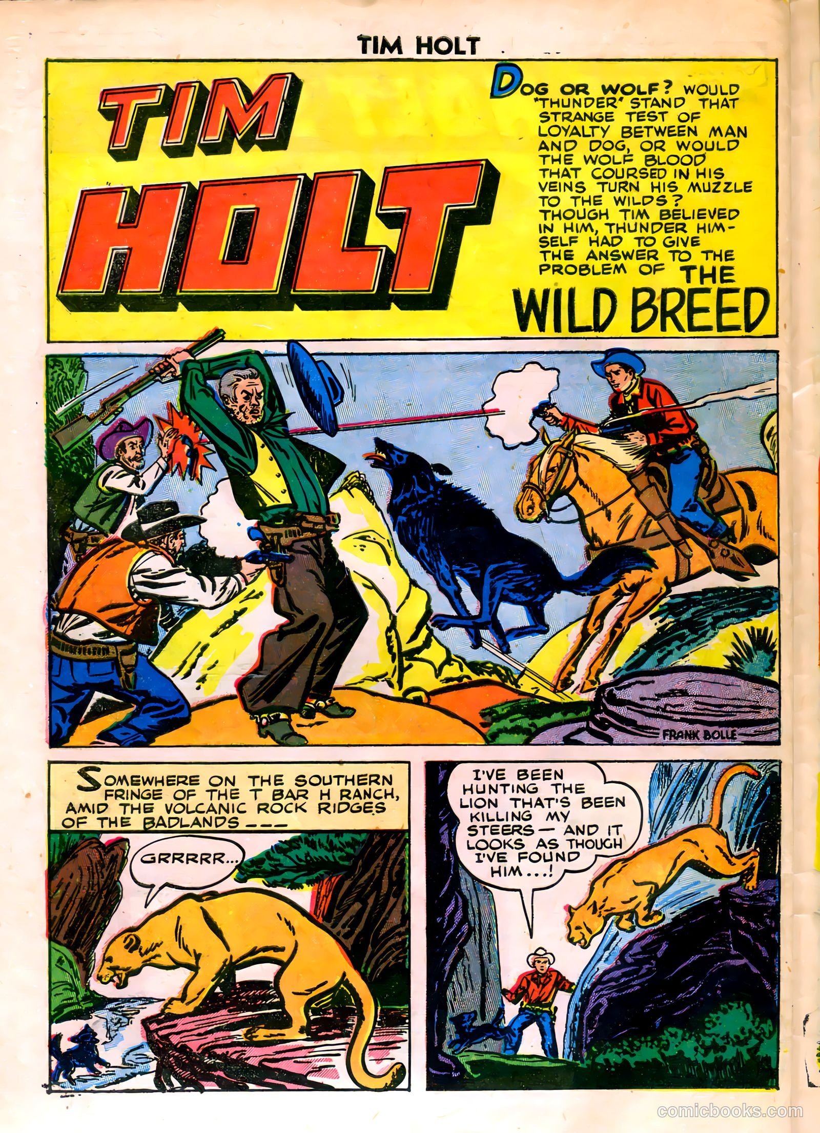 Tim Holt #8 — page 28 of 36