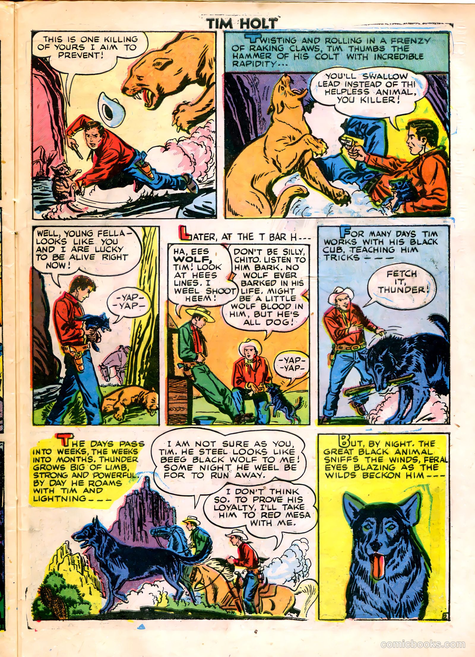 Tim Holt #8 — page 29 of 36