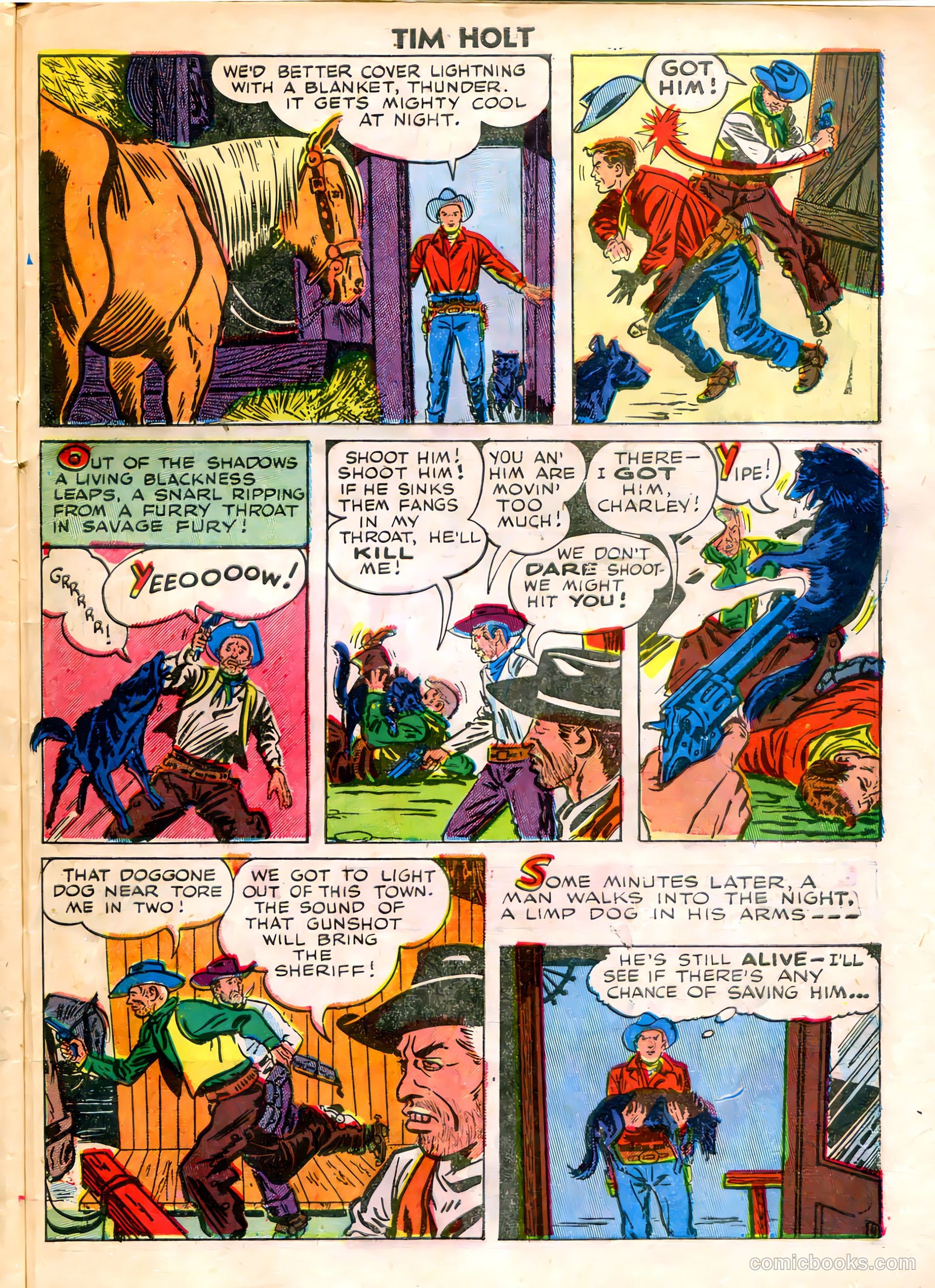 Tim Holt #8 — page 31 of 36