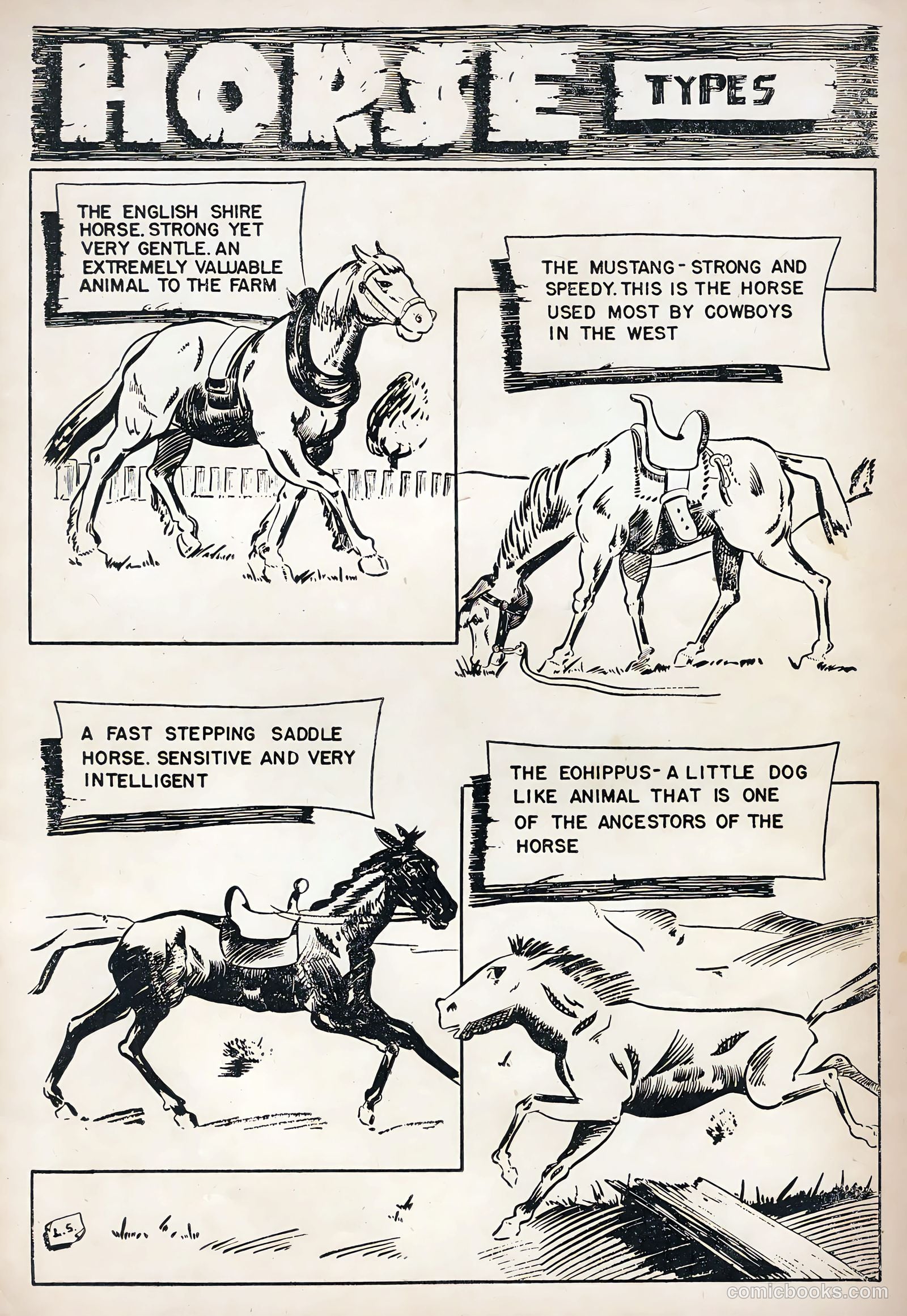 Tim McCoy #16 — page 35 of 36