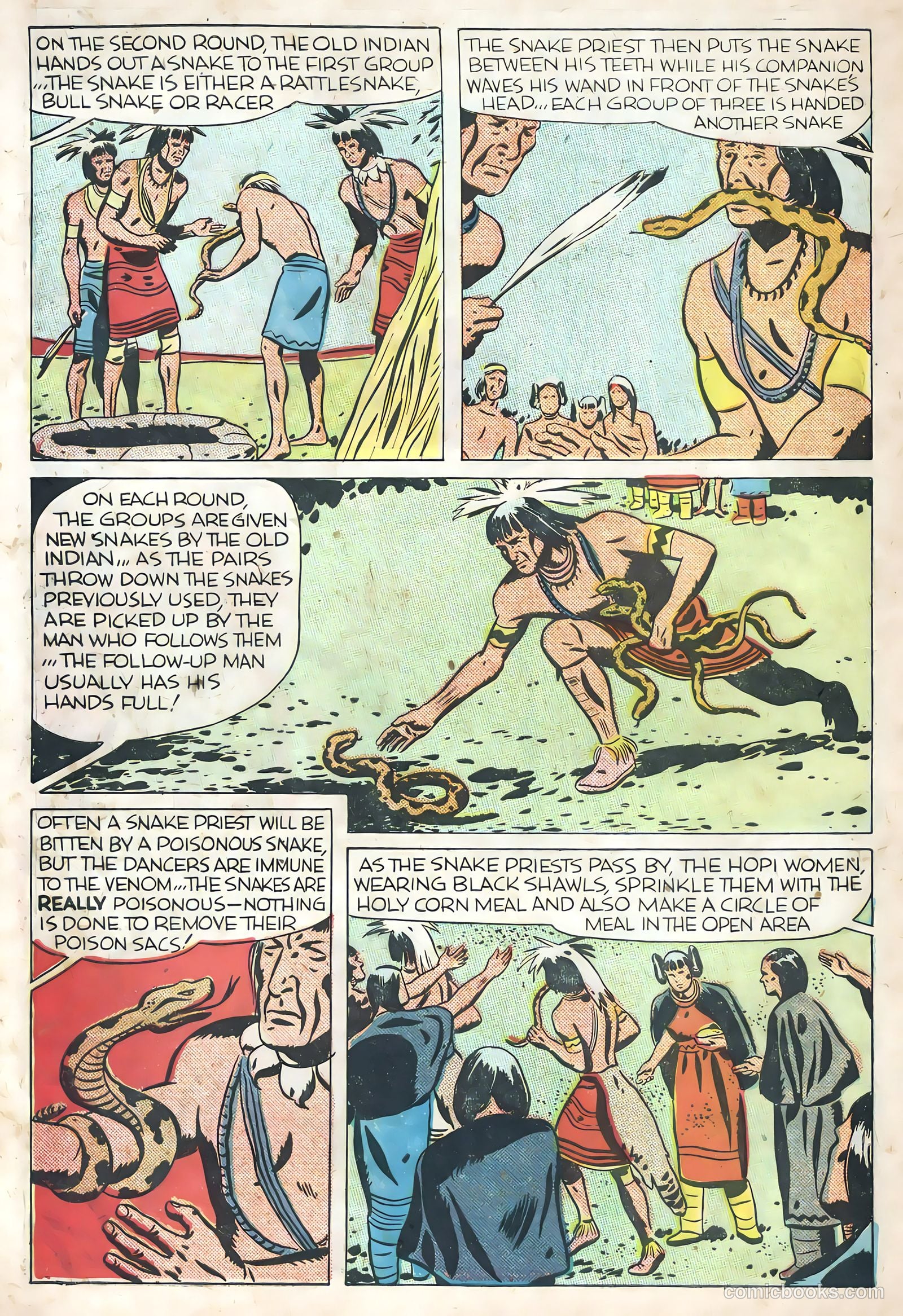 Tim McCoy #17 — page 16 of 35