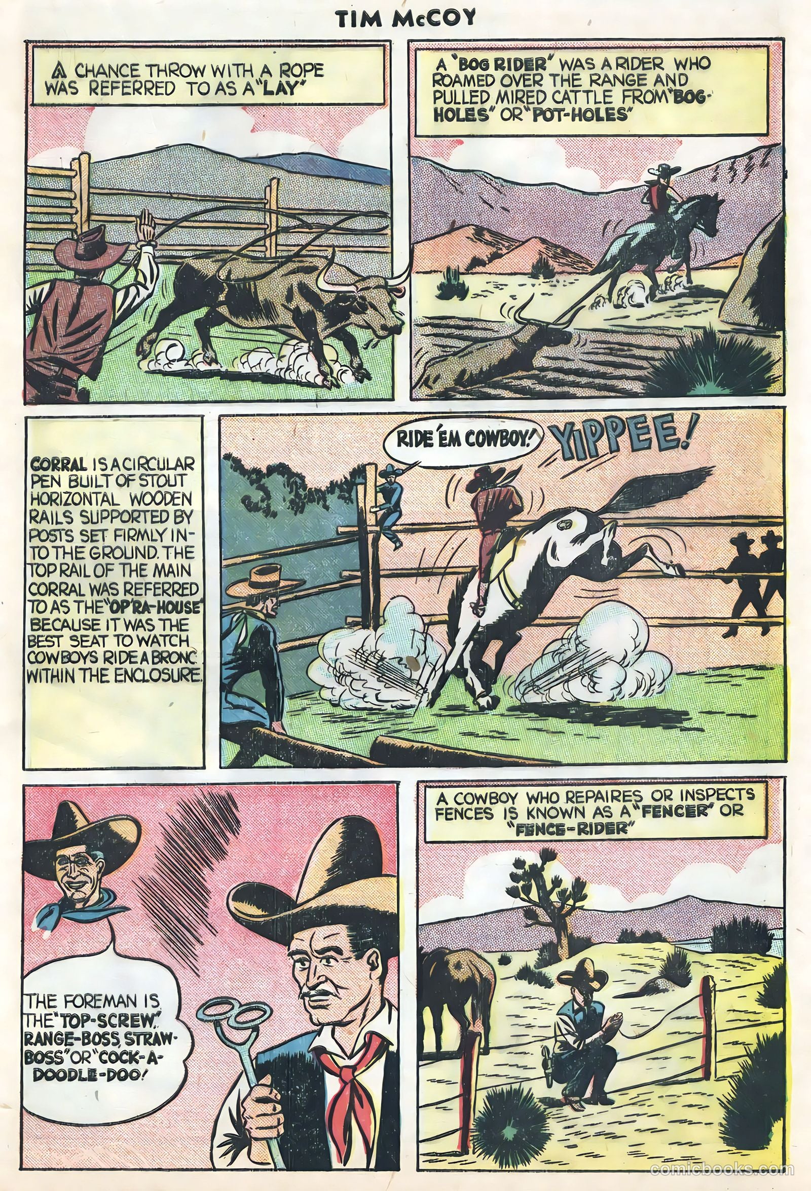 Tim McCoy #18 — page 15 of 36