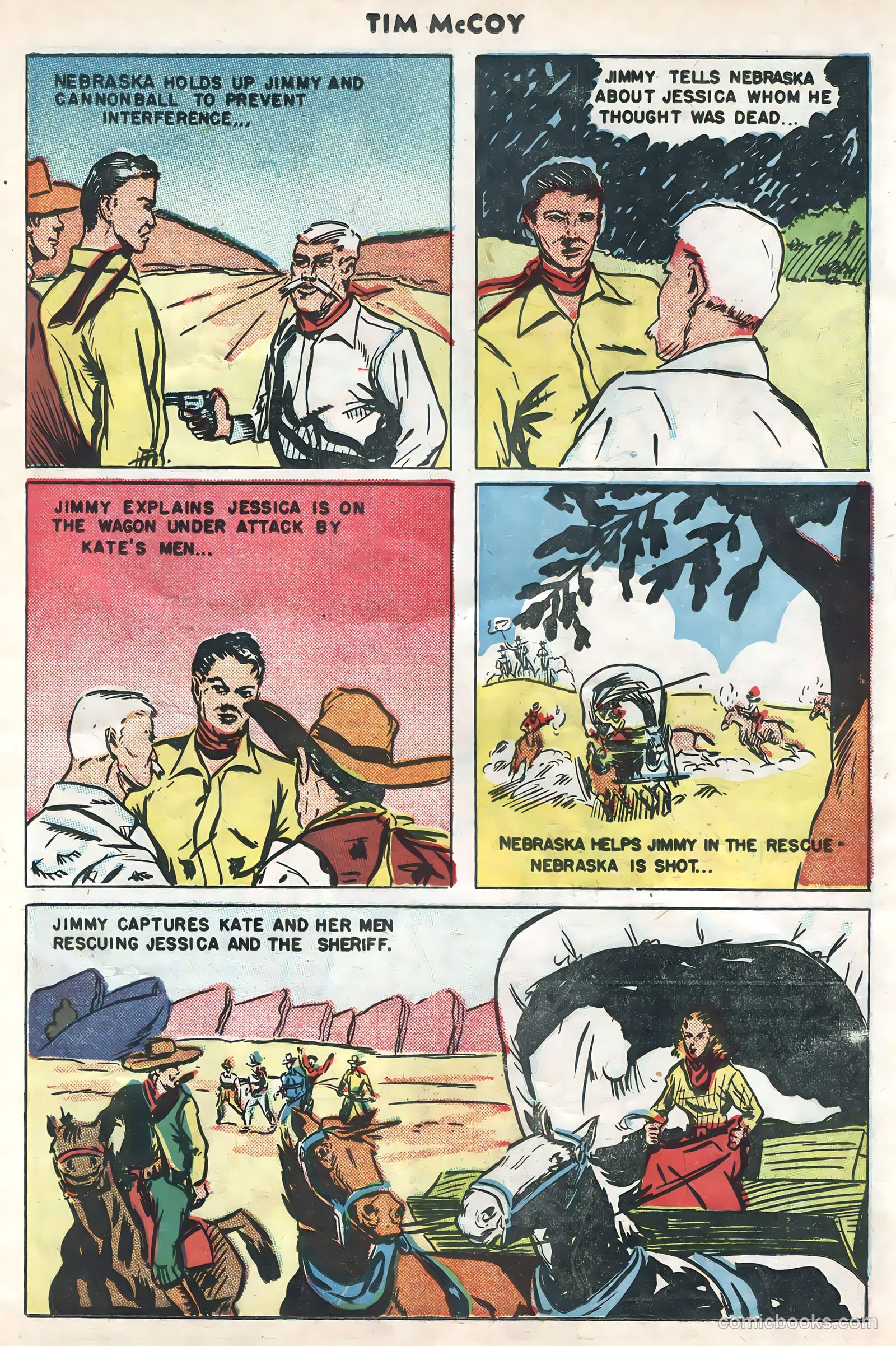Tim McCoy #20 — page 29 of 36