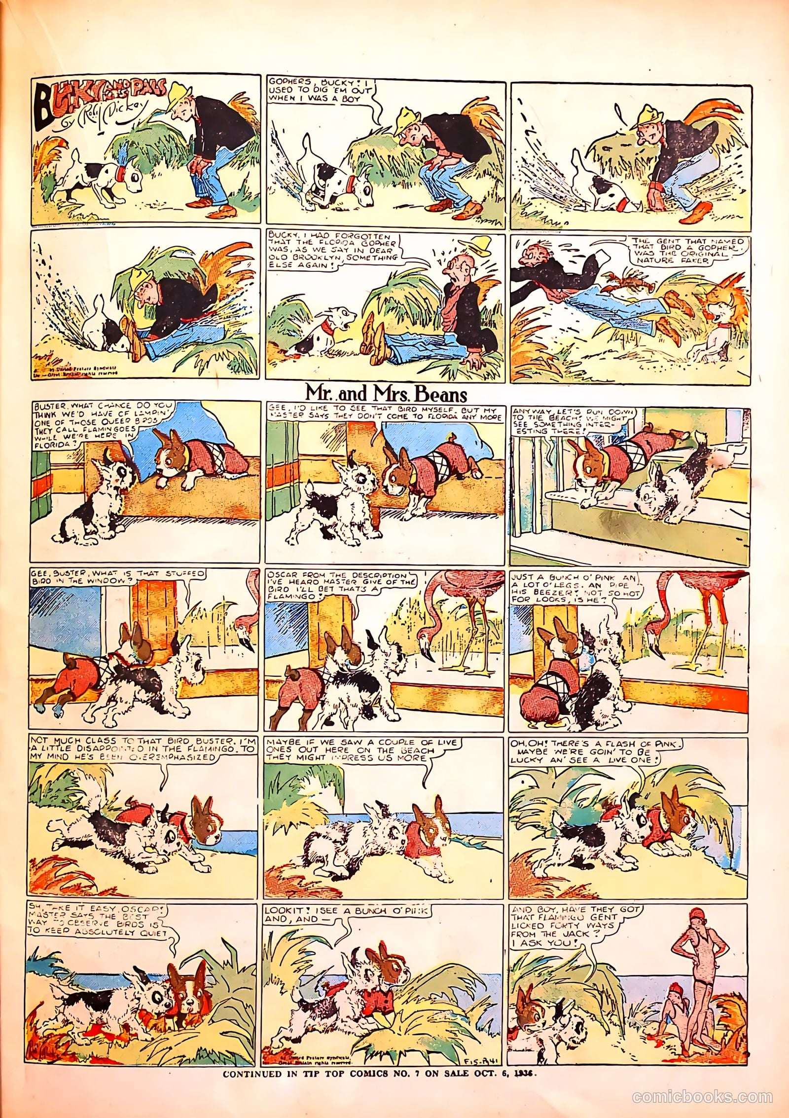 Tip Topper Comics #6 — page 36 of 61