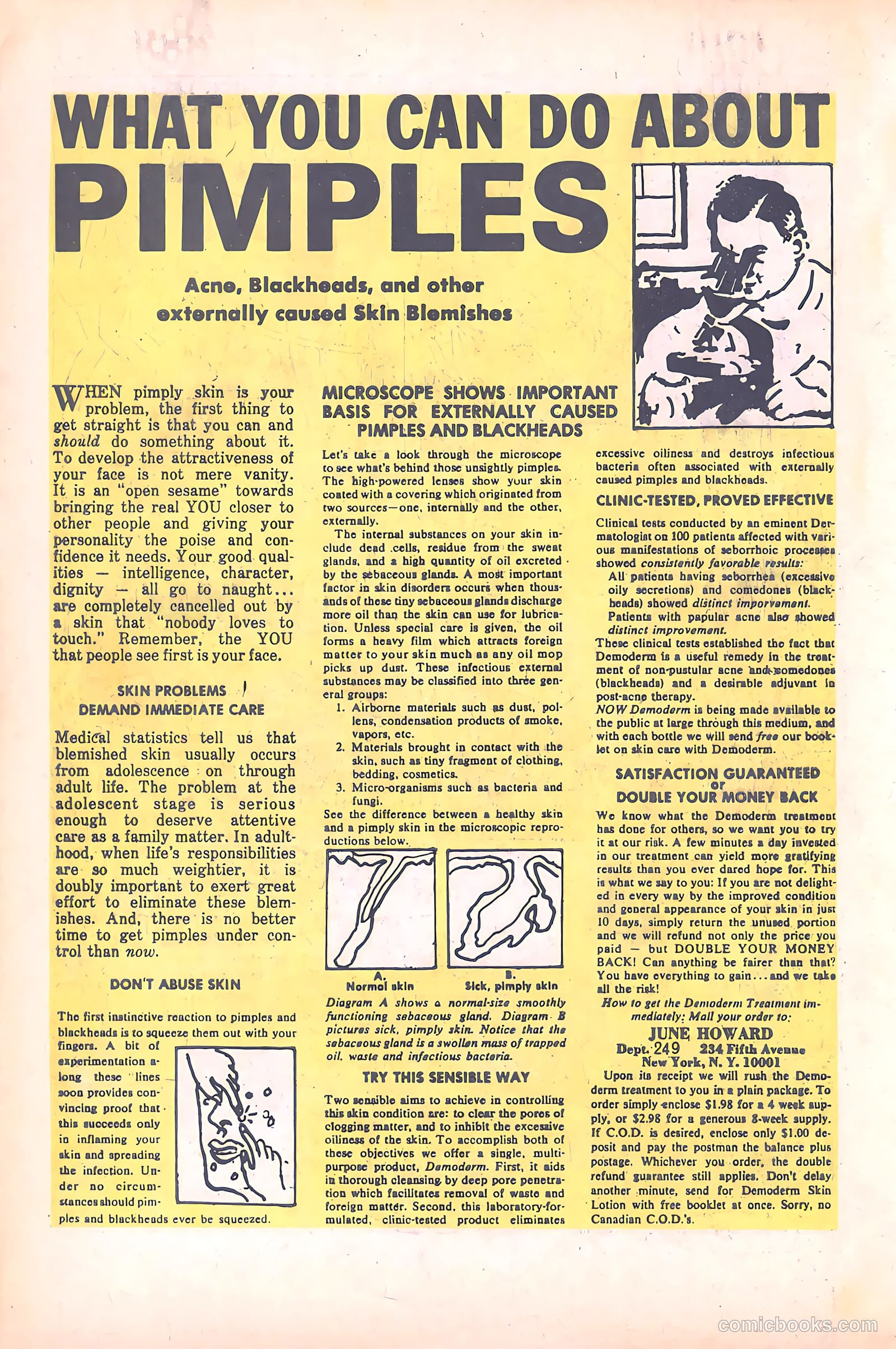 Tippy's Friends Go-Go and Animal #5 — page 65 of 67