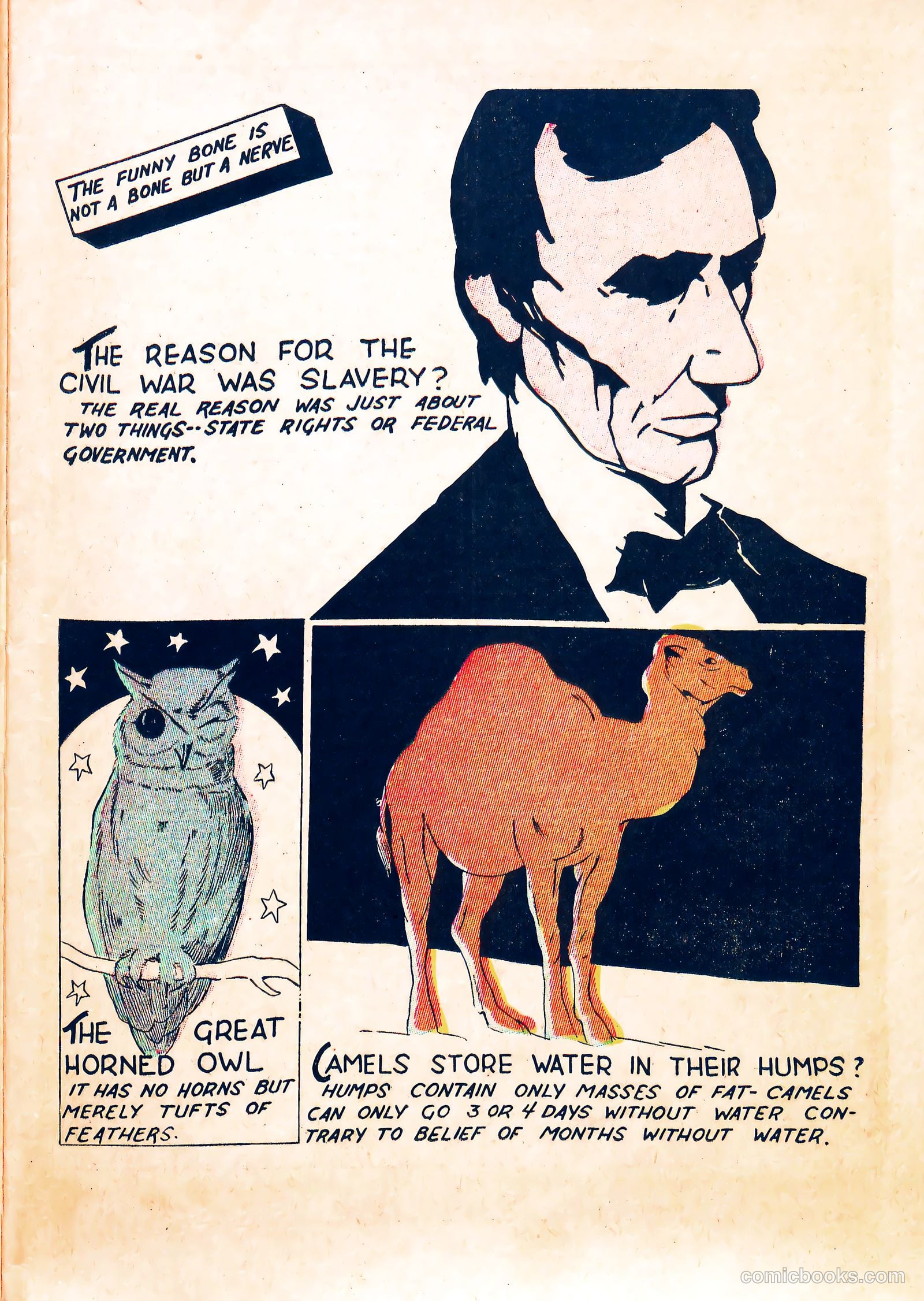 TNT Comics #1 — page 11 of 36
