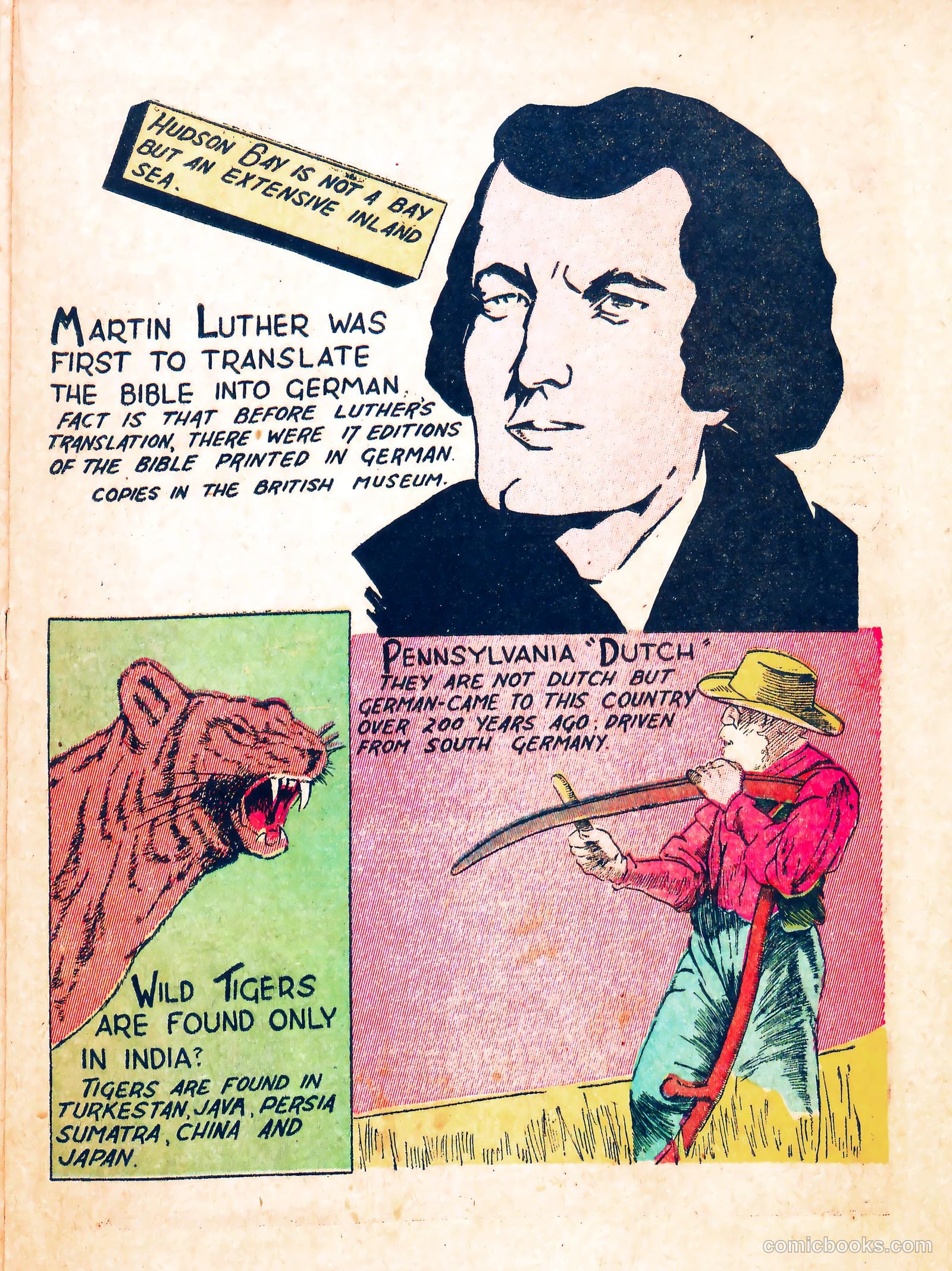 TNT Comics #1 — page 21 of 36