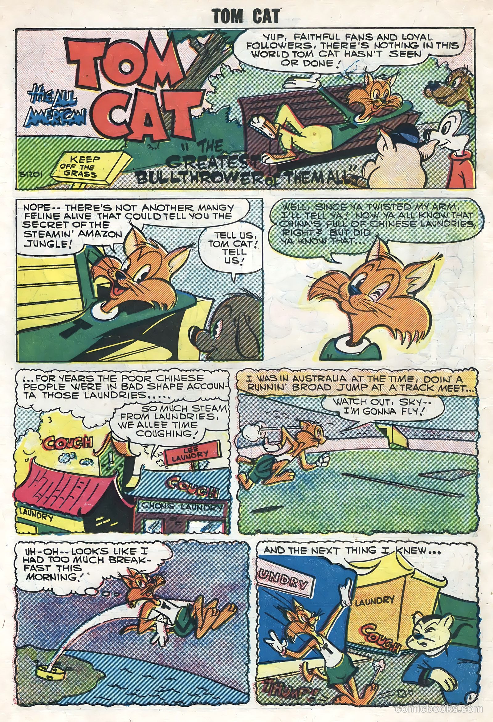 Tom Cat #6 — page 18 of 36