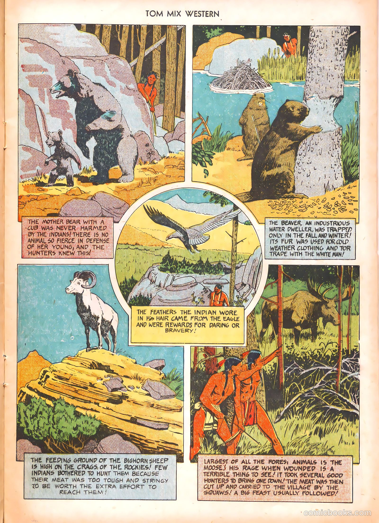 Tom Mix Western #34 — page 13 of 36