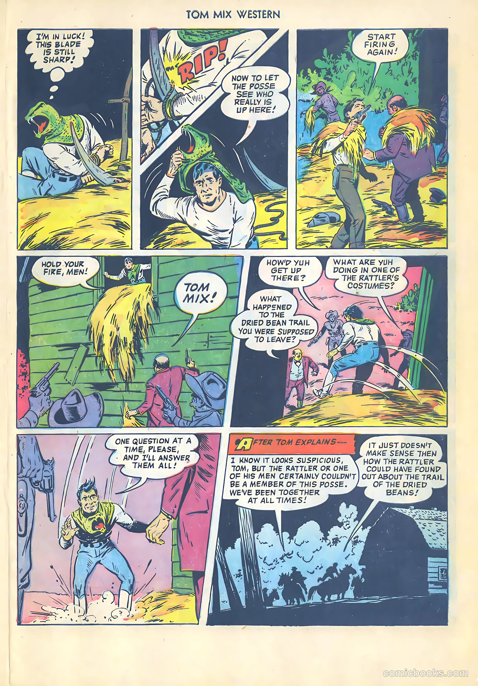 Tom Mix Western #54 — page 29 of 36