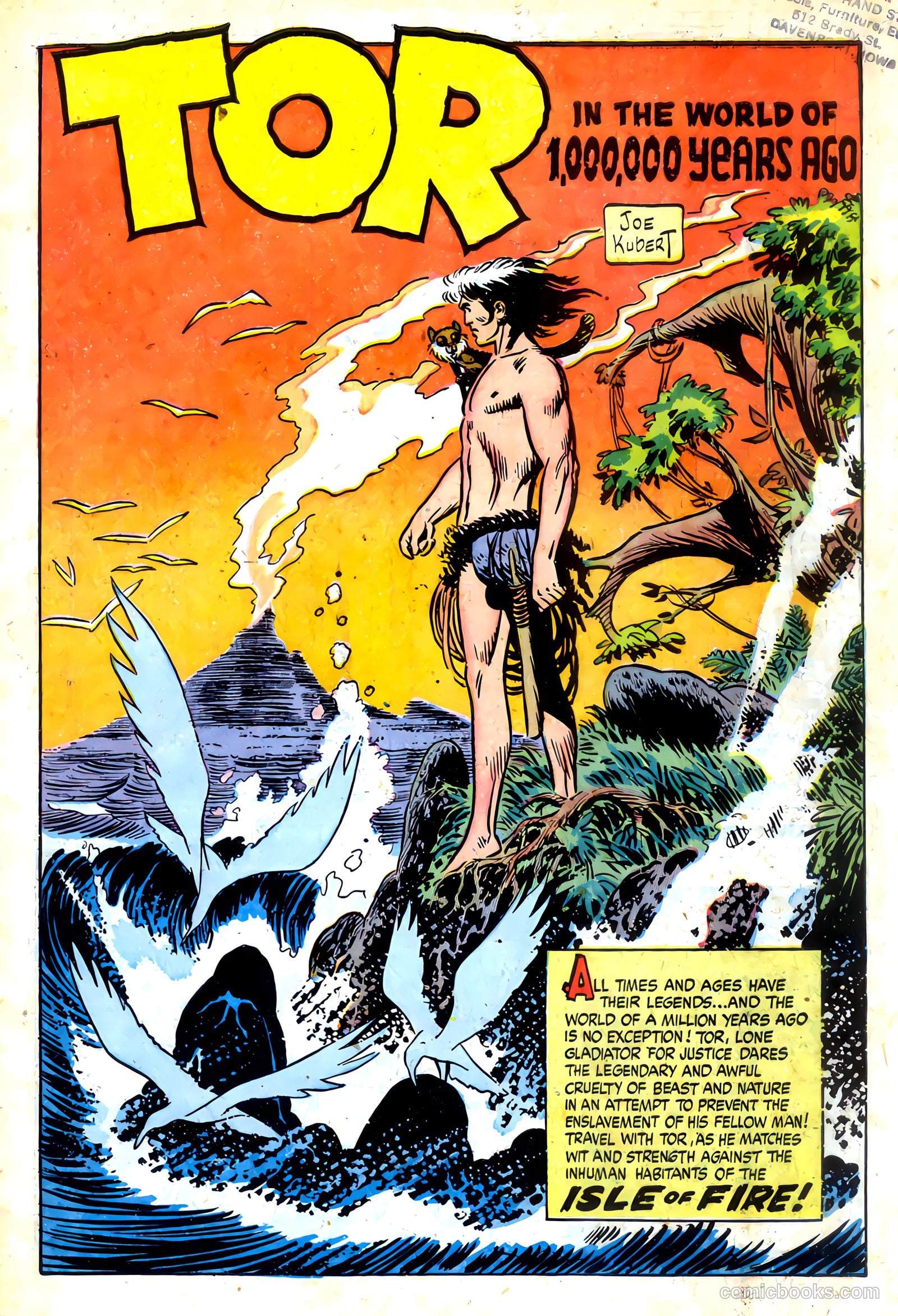 Tor #3 — page 3 of 35
