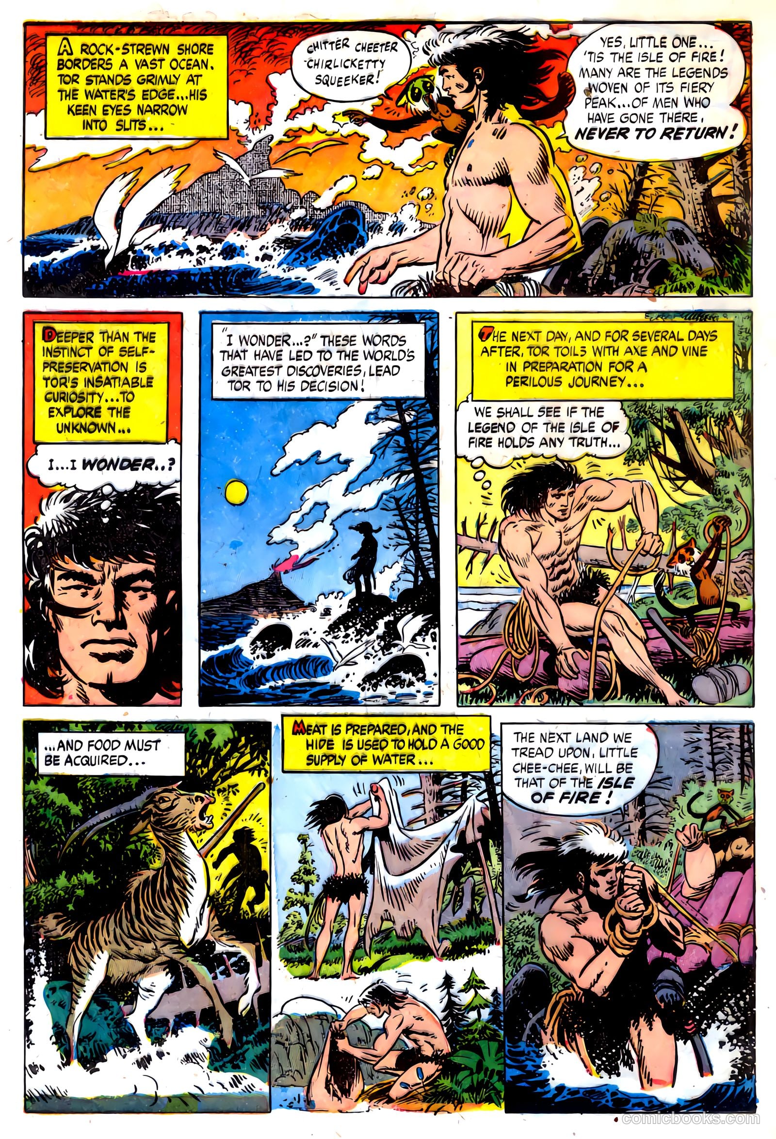 Tor #3 — page 4 of 35