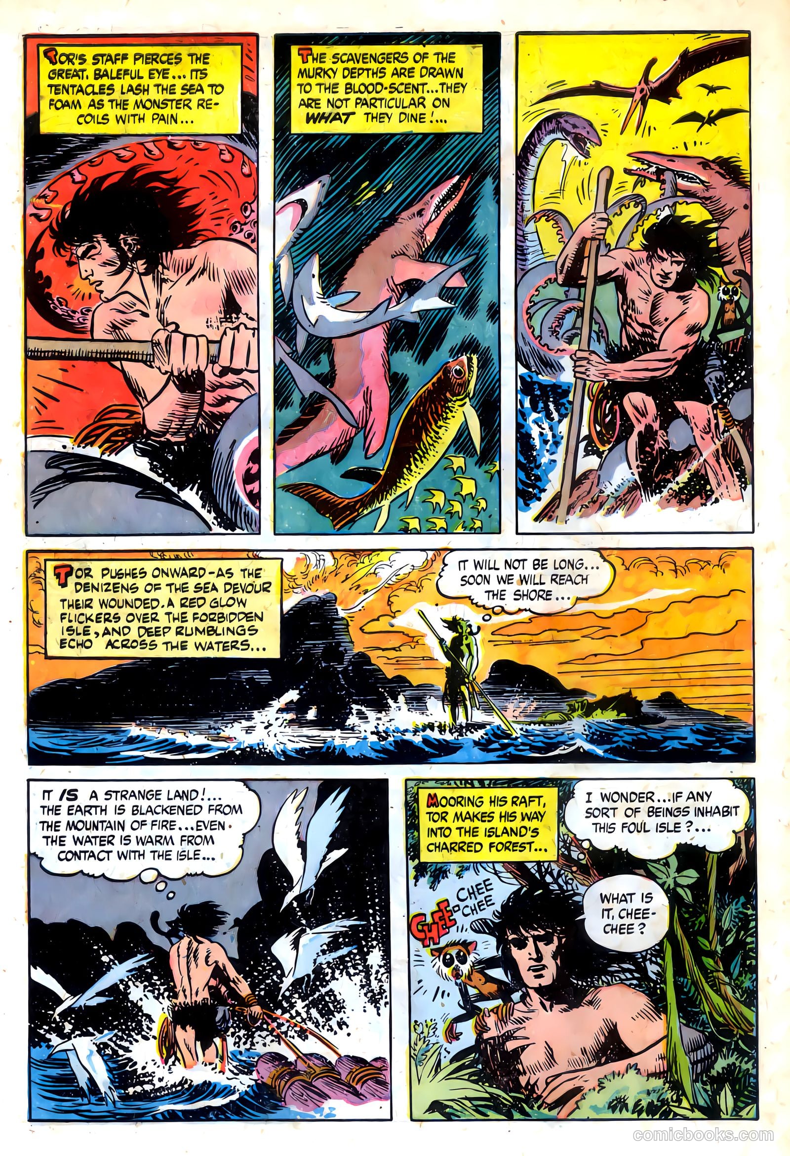 Tor #3 — page 6 of 35