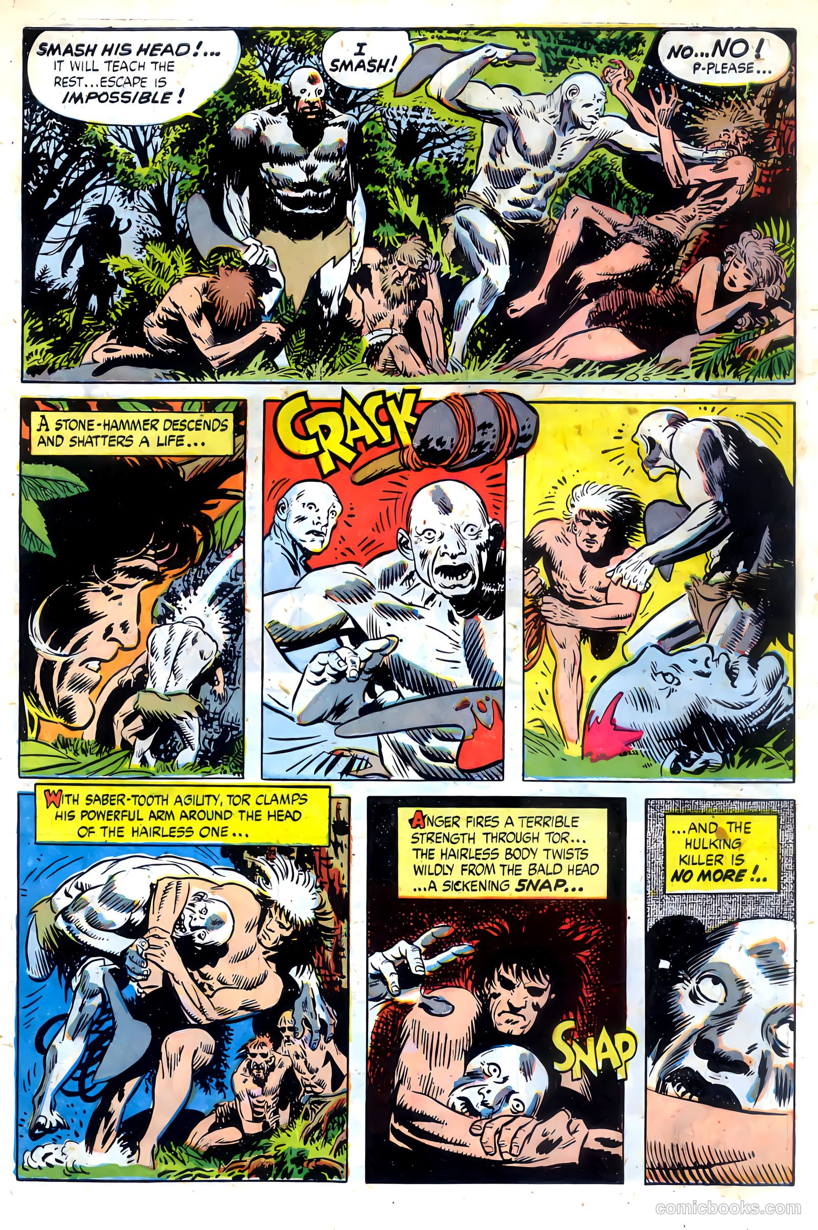 Tor #3 — page 7 of 35