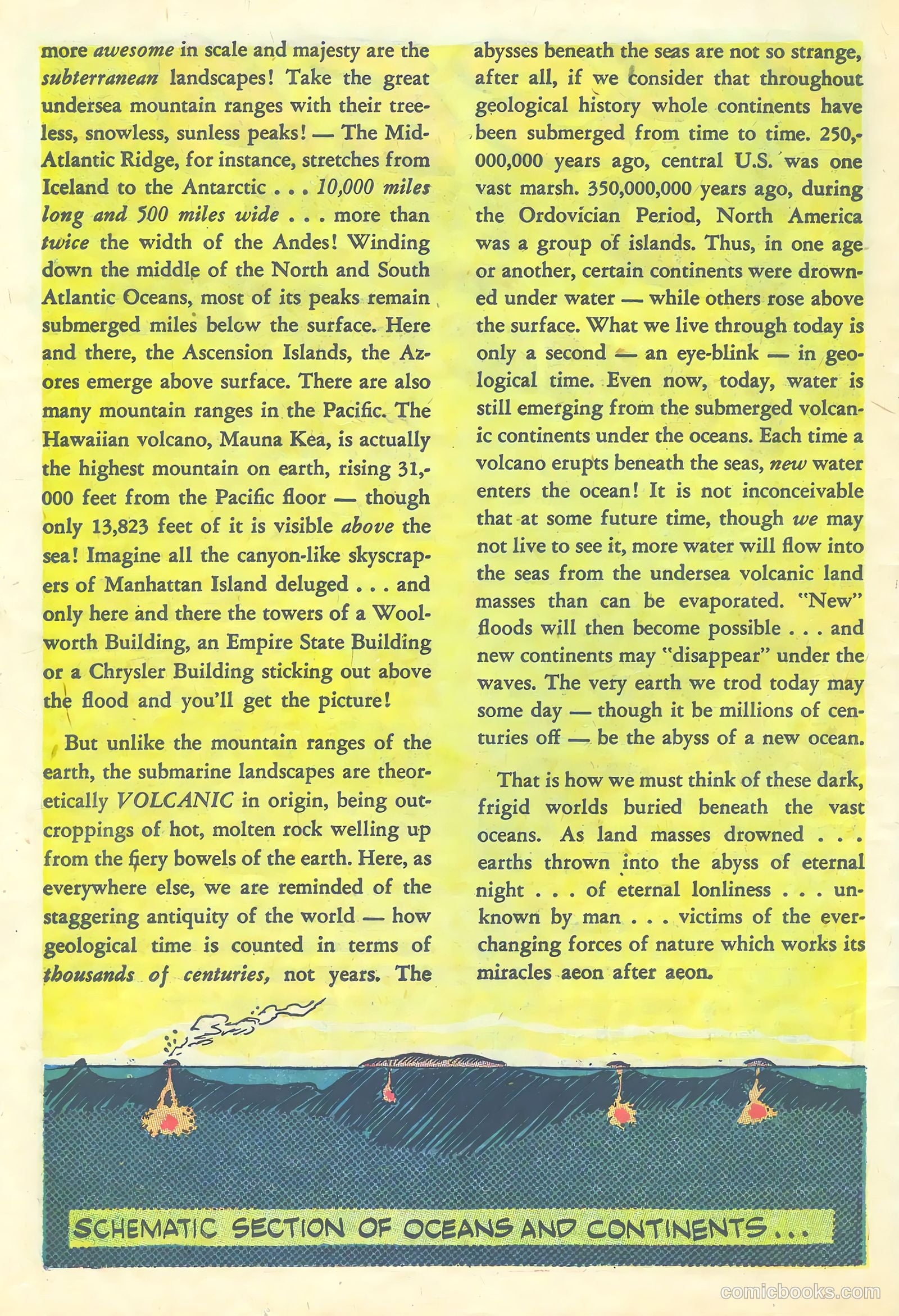 Tor #4 — page 25 of 35