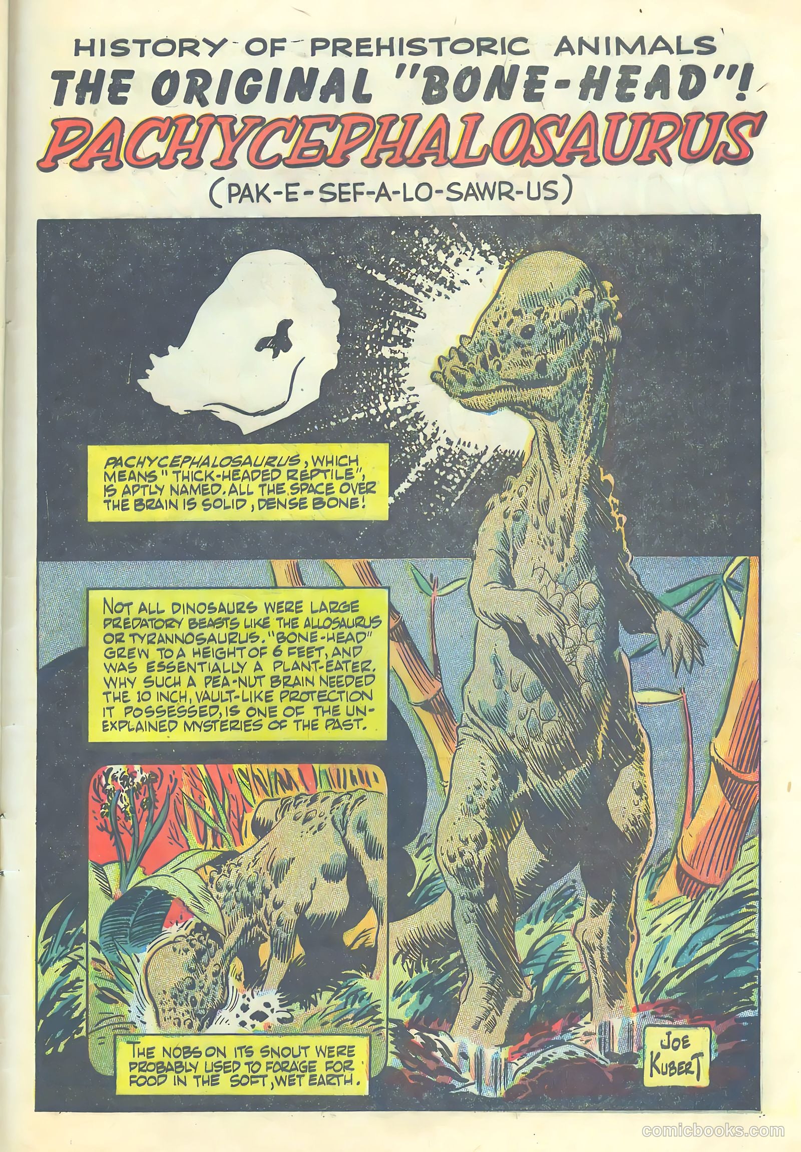 Tor #4 — page 28 of 35