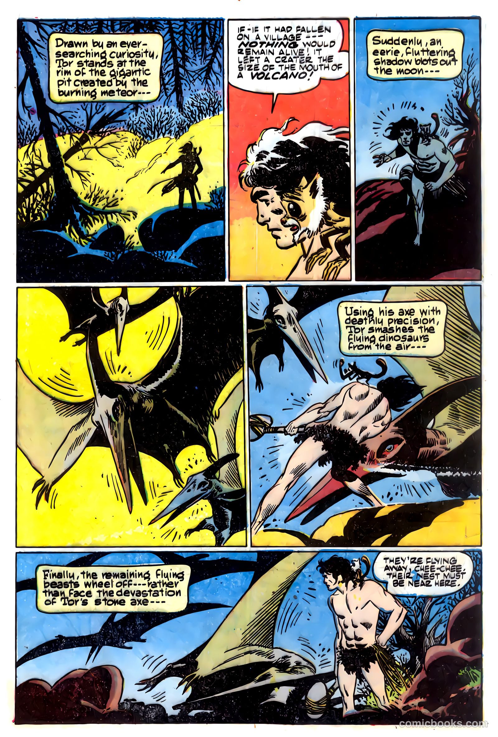 Tor #5 — page 5 of 35