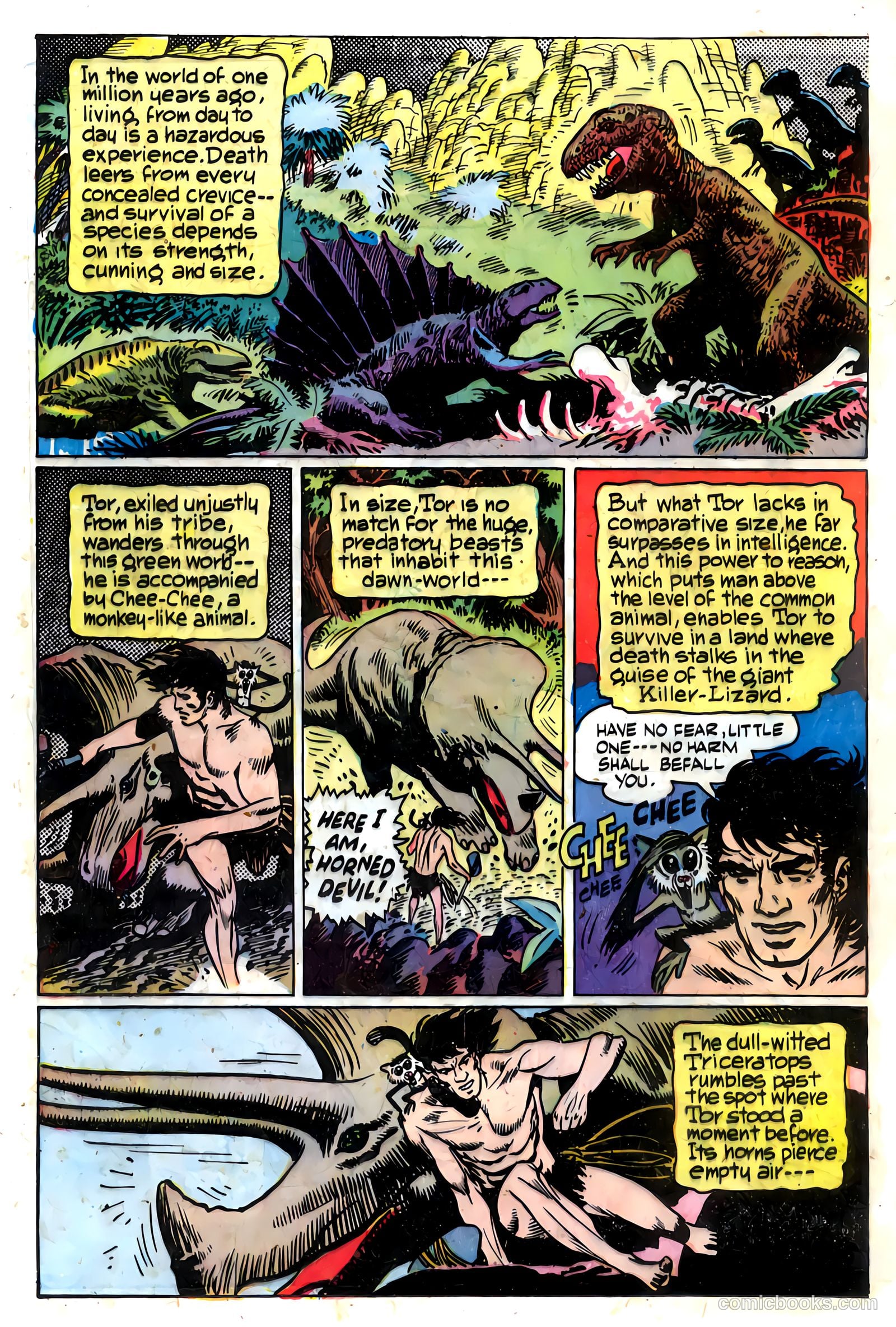 Tor #5 — page 19 of 35