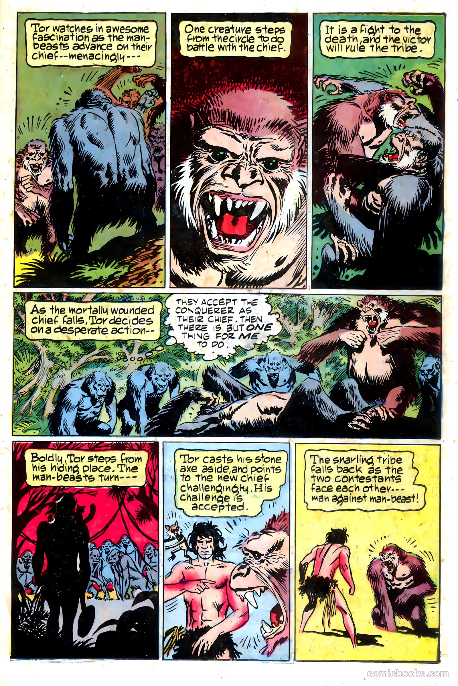 Tor #5 — page 22 of 35