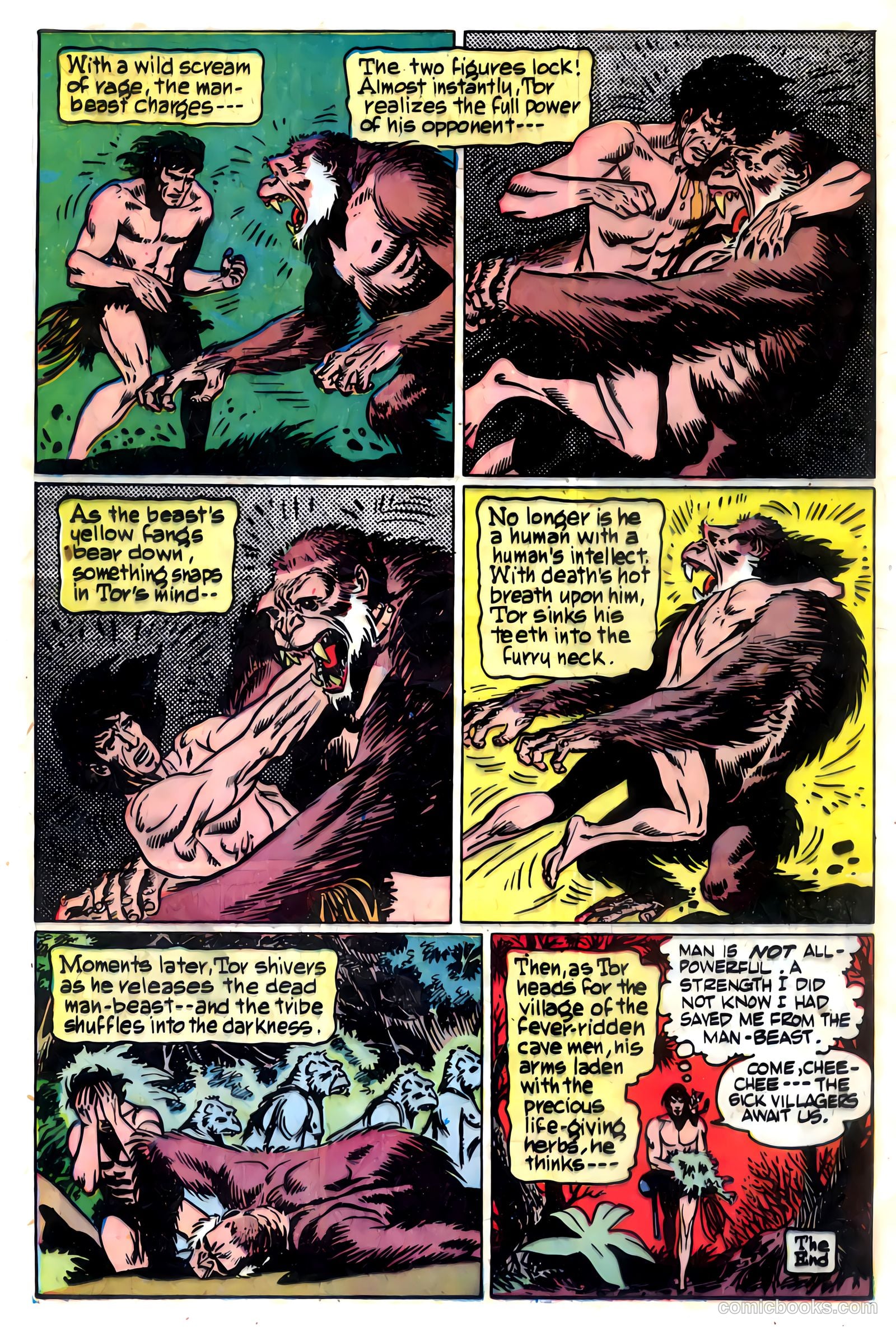 Tor #5 — page 23 of 35