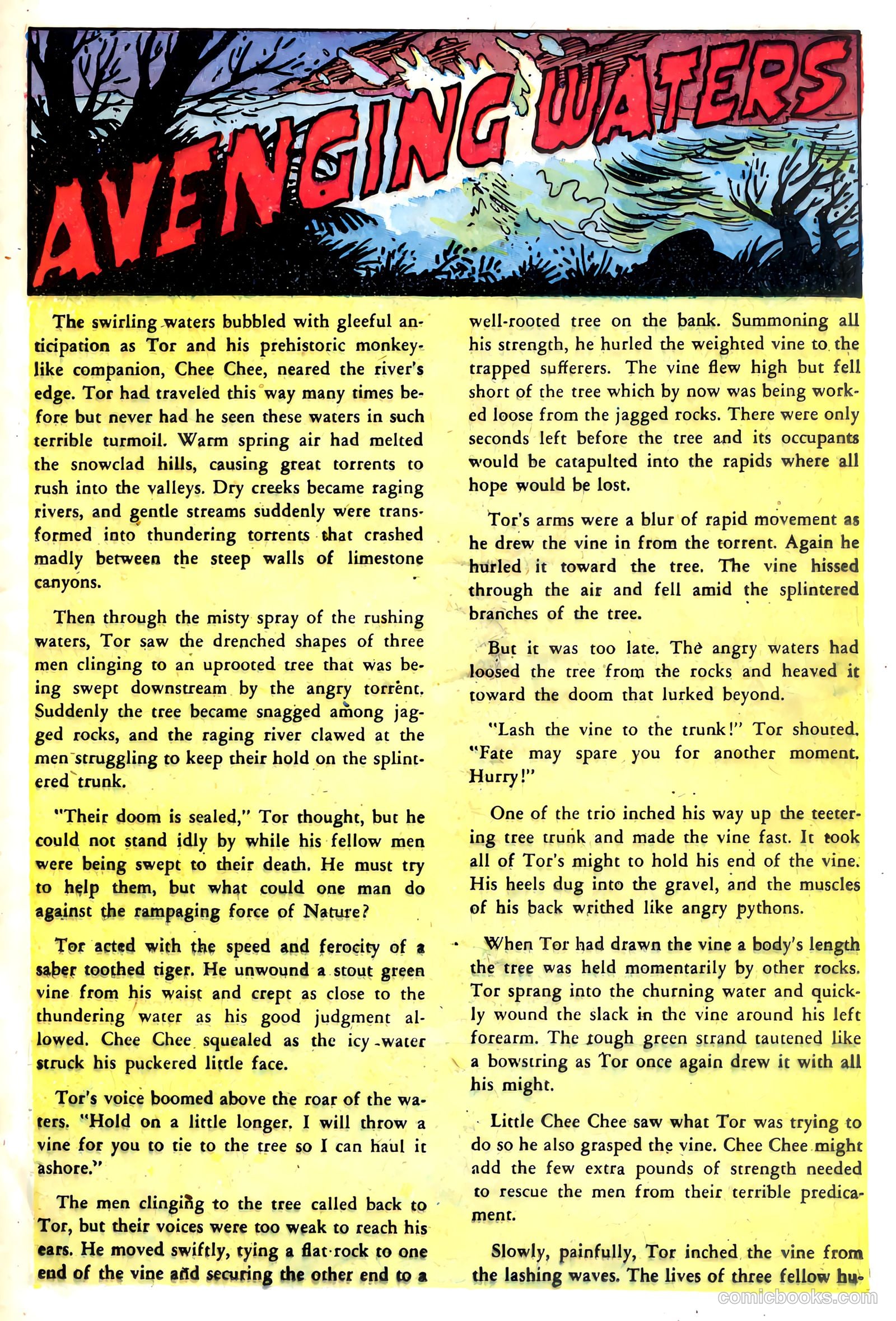 Tor #5 — page 24 of 35
