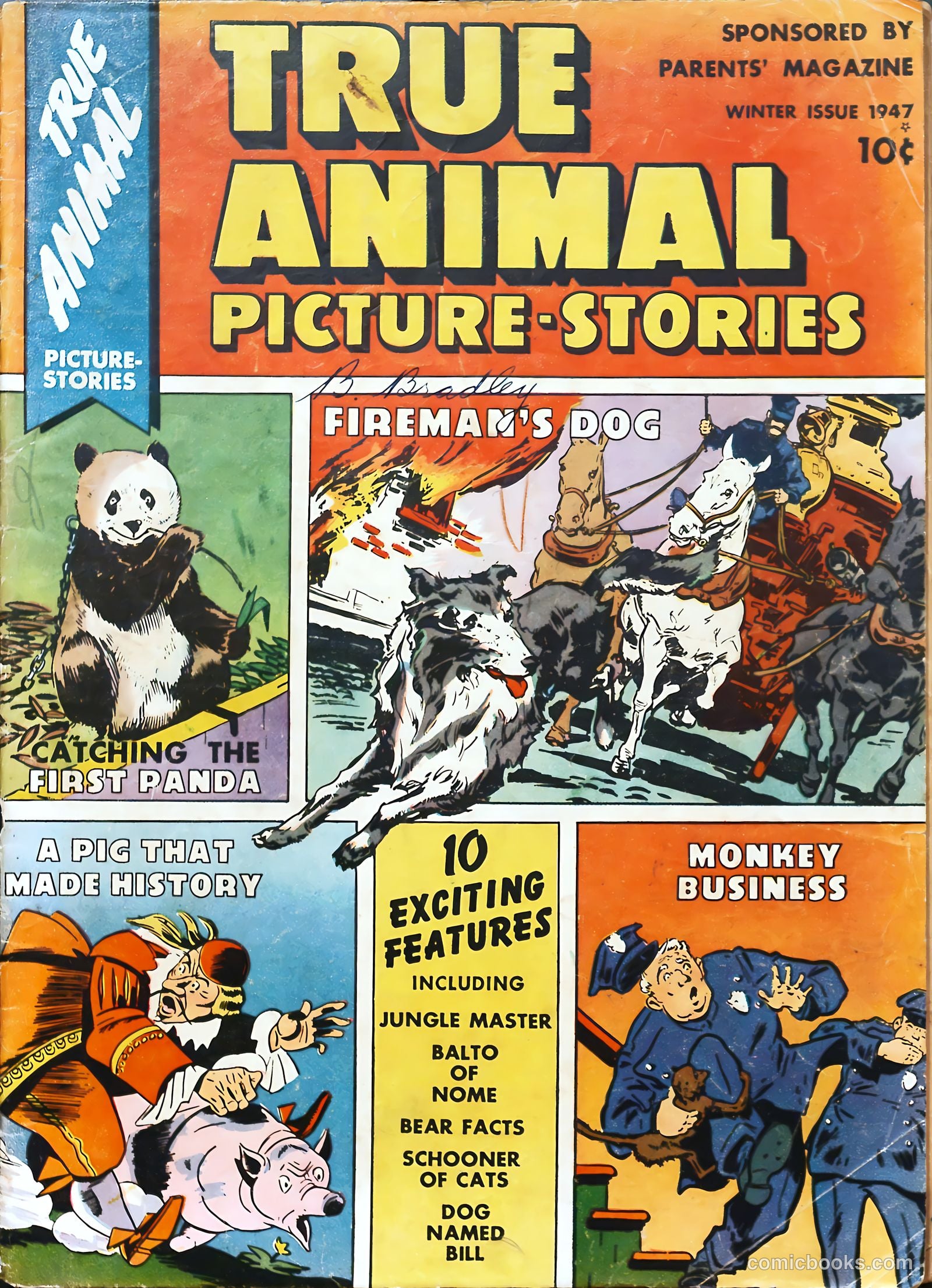 True Animal Picture-Stories #1 — page 1 of 37