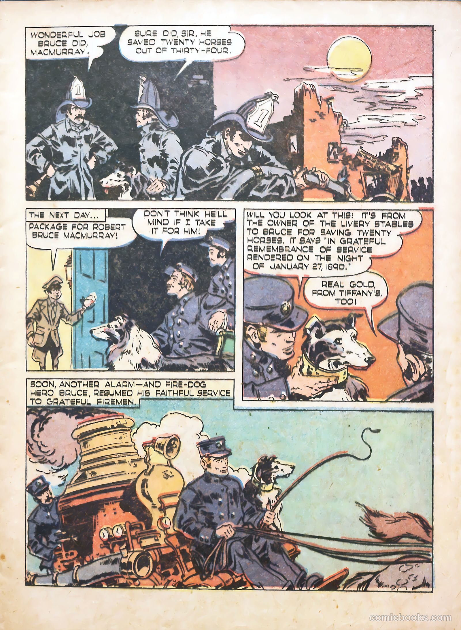 True Animal Picture-Stories #1 — page 9 of 37