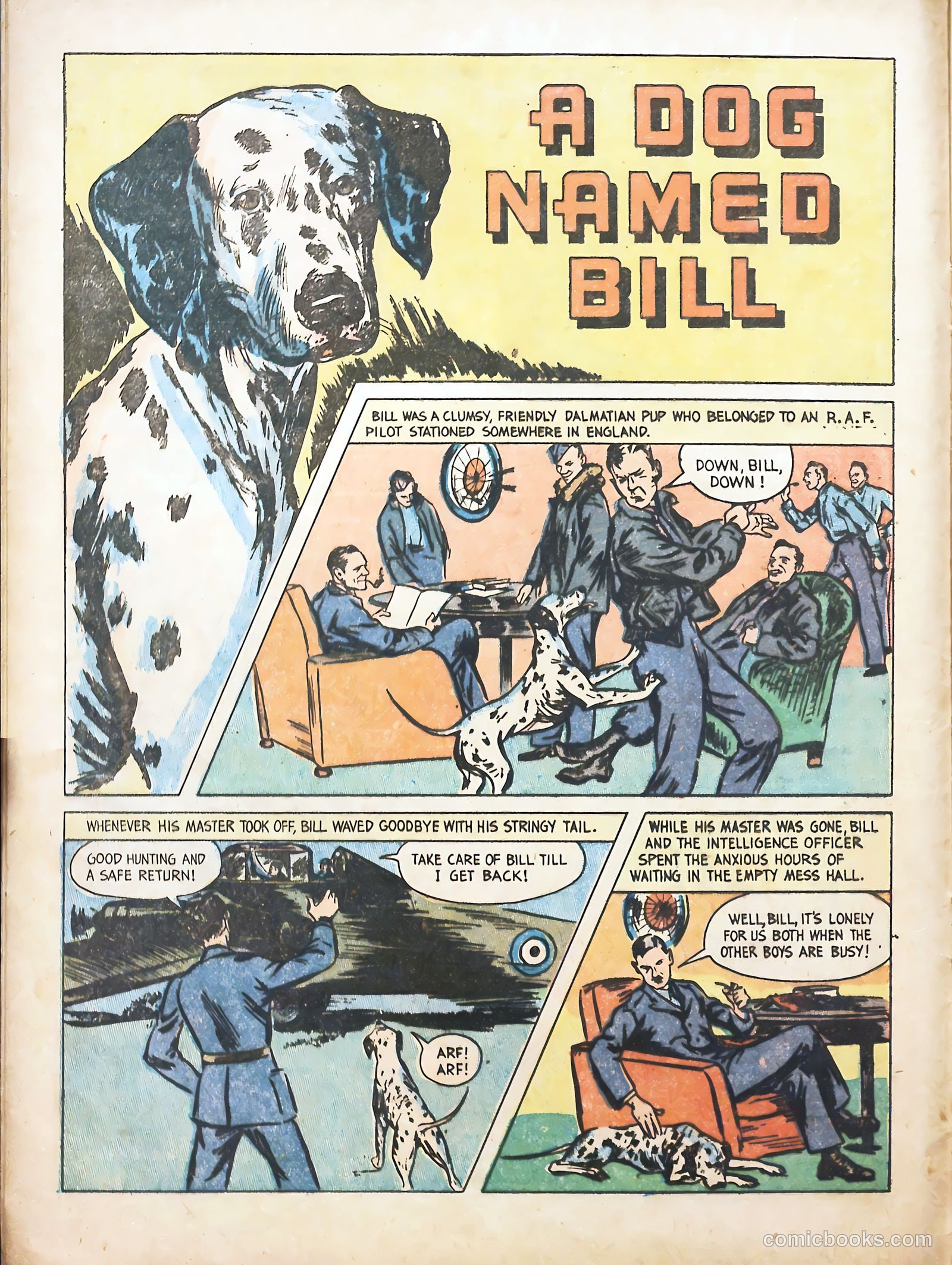 True Animal Picture-Stories #1 — page 14 of 37