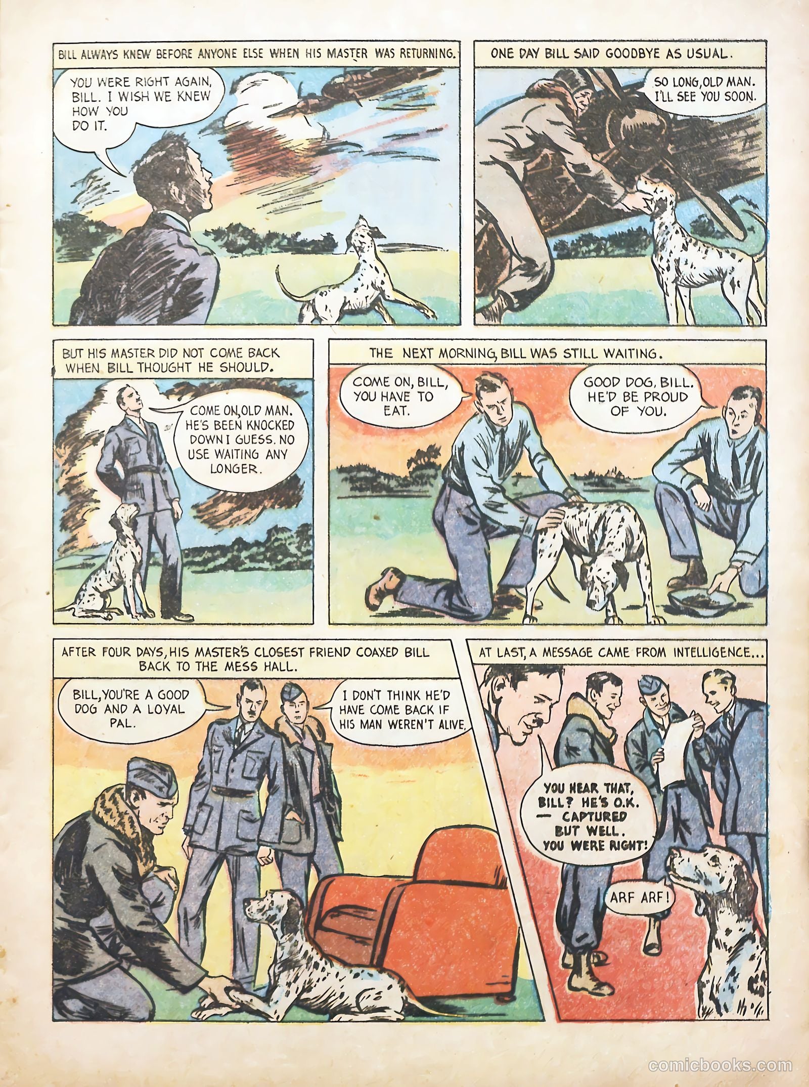 True Animal Picture-Stories #1 — page 15 of 37