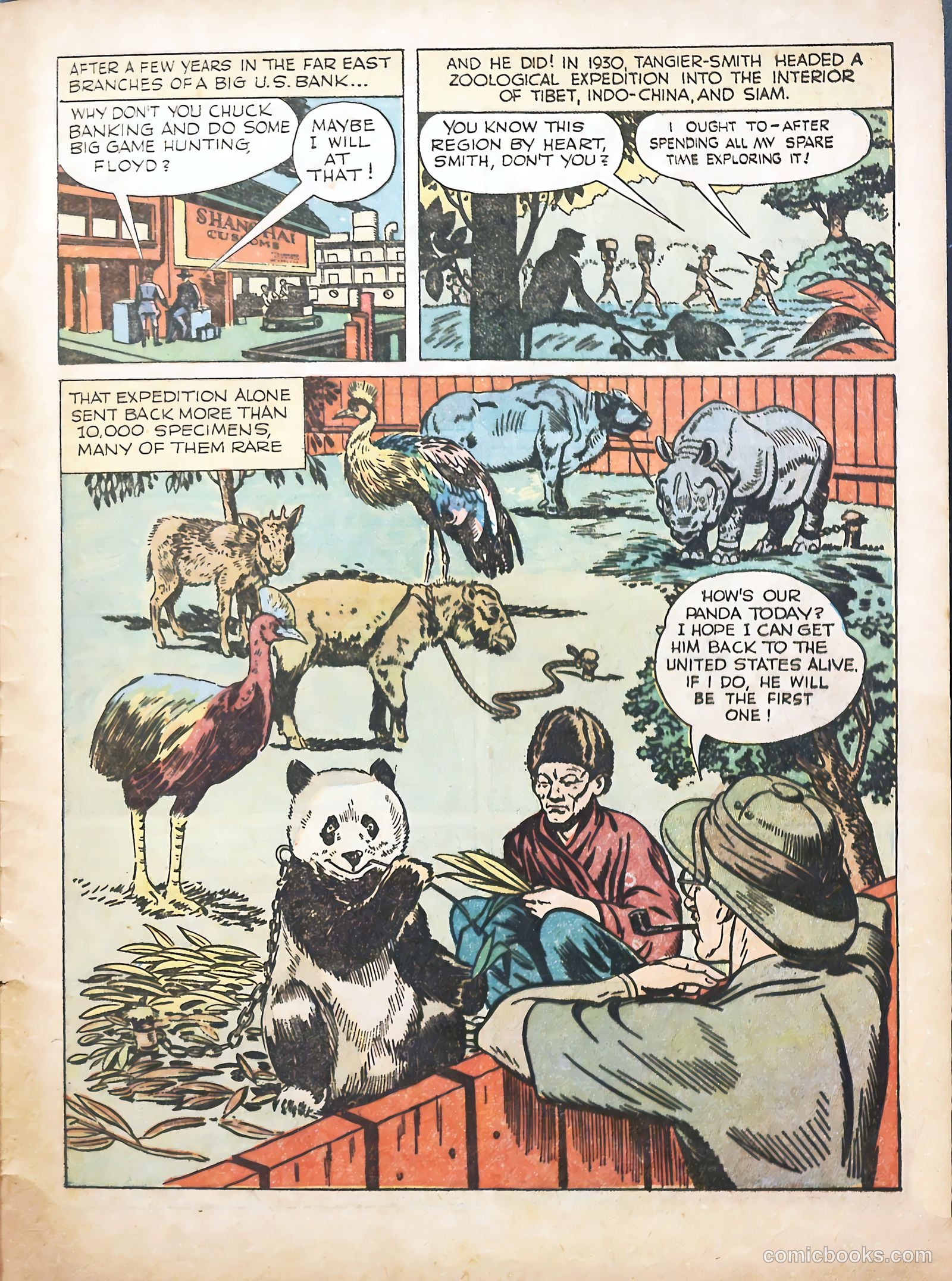 True Animal Picture-Stories #1 — page 31 of 37