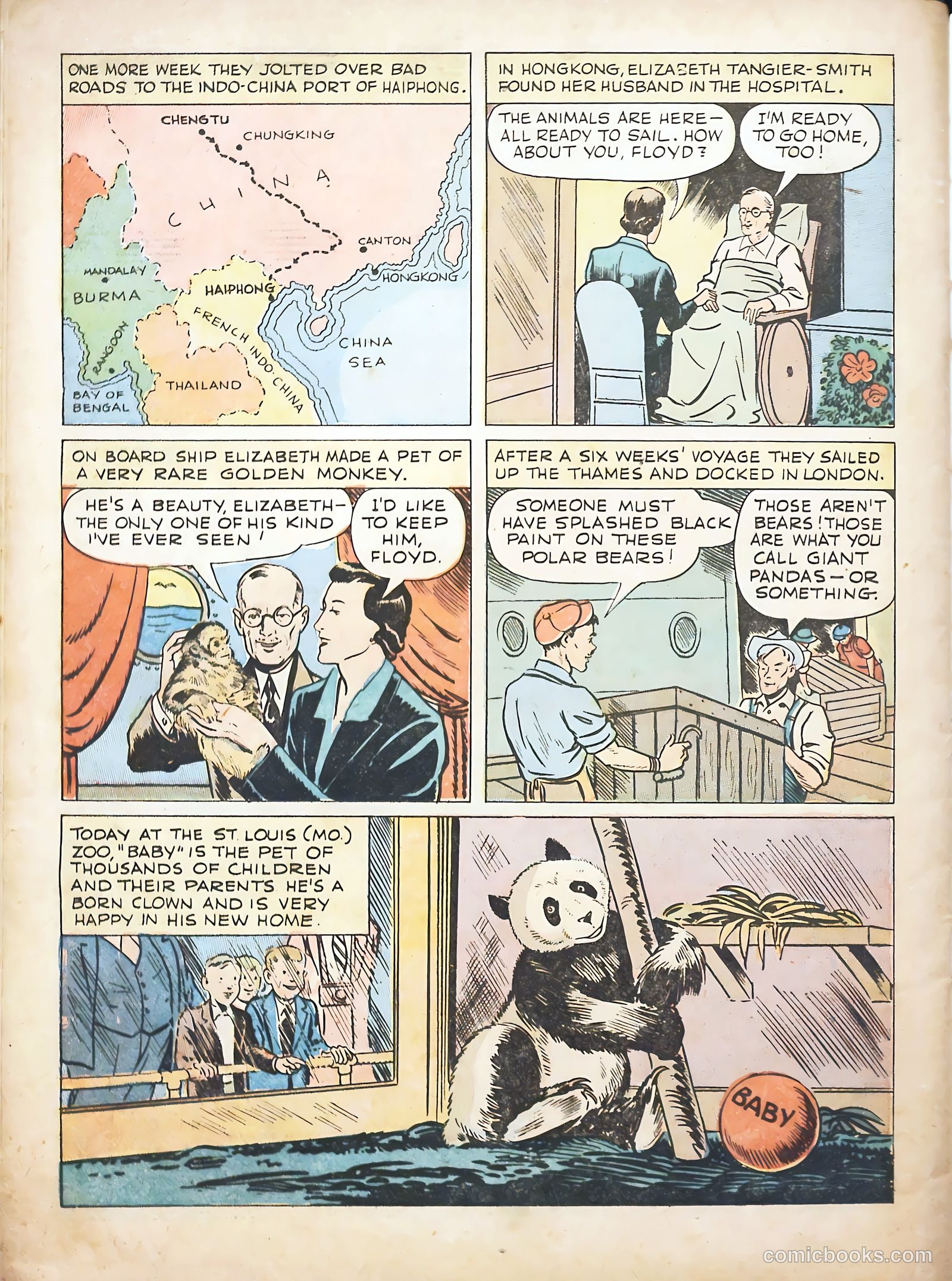 True Animal Picture-Stories #1 — page 34 of 37