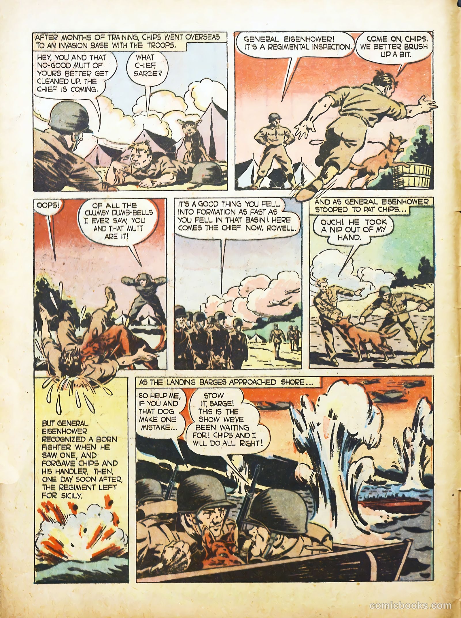 True Animal Picture-Stories #2 — page 4 of 35