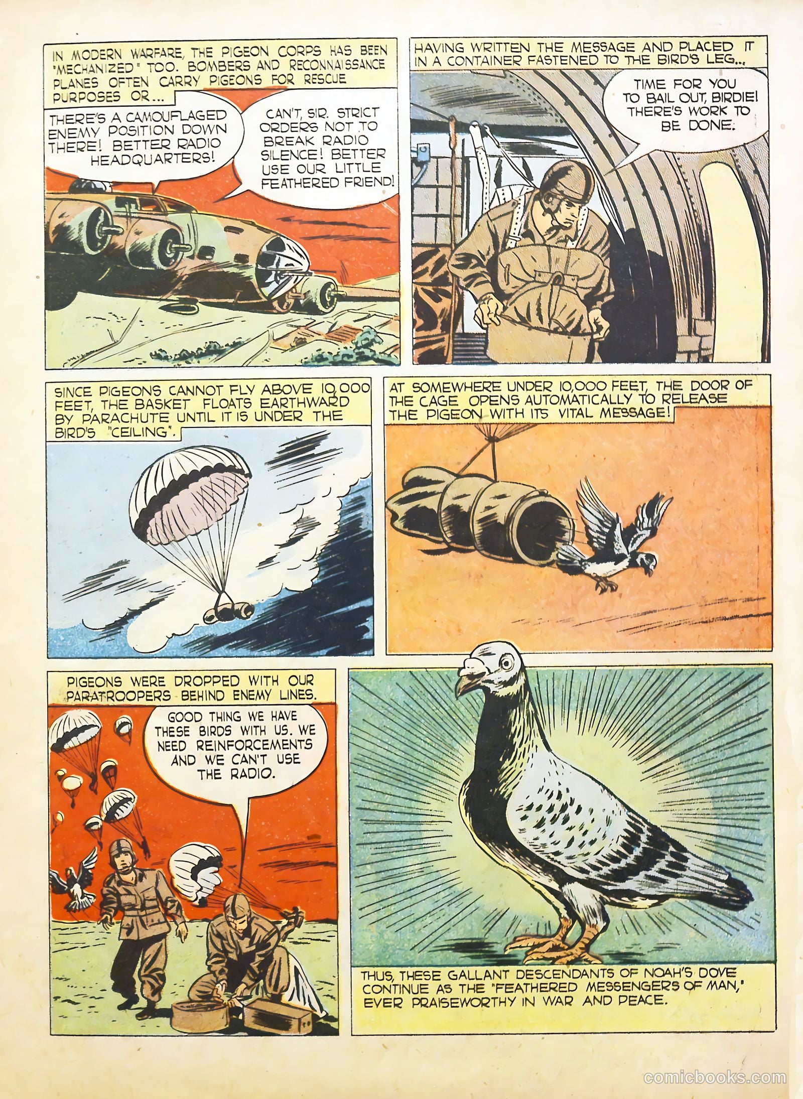 True Animal Picture-Stories #2 — page 11 of 35