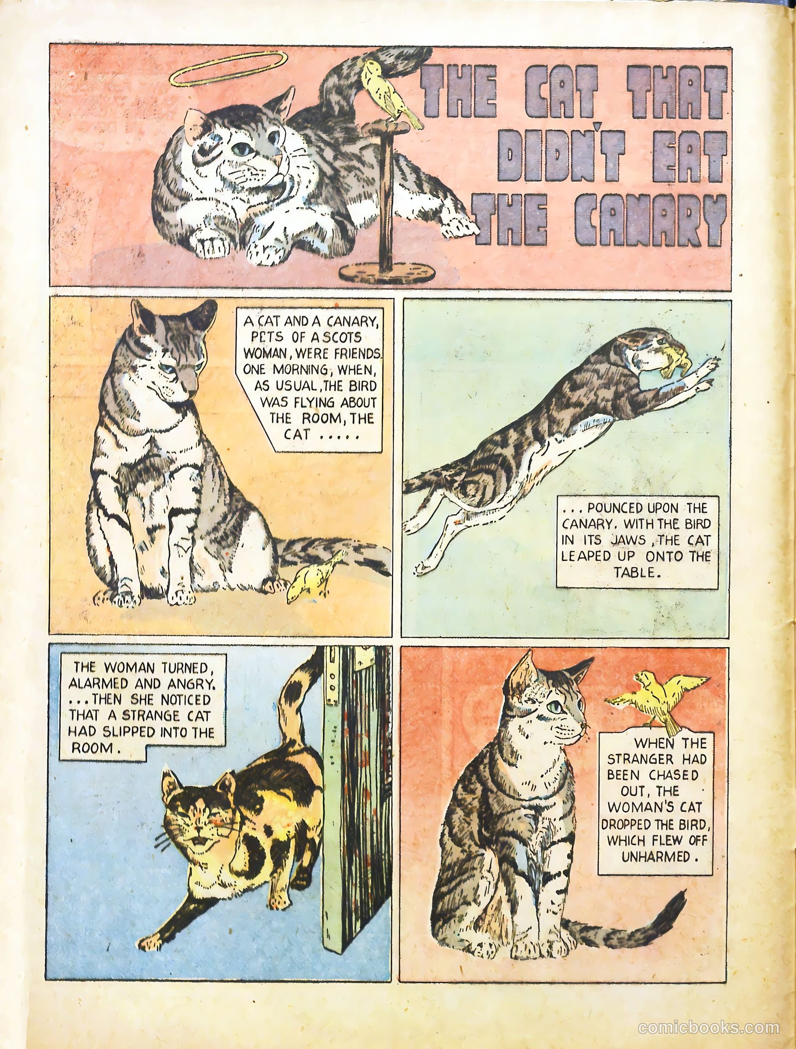True Animal Picture-Stories #2 — page 12 of 35
