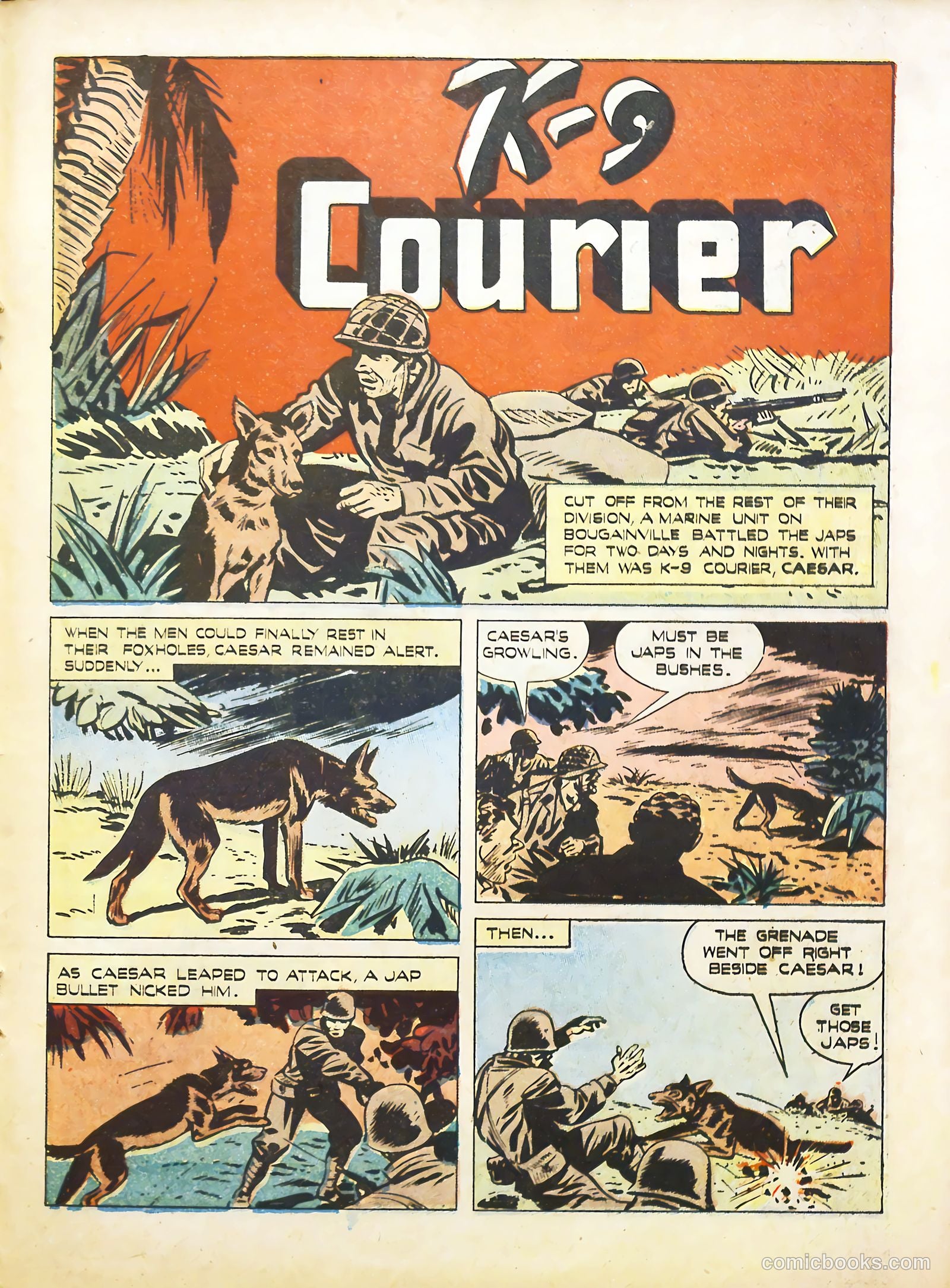 True Animal Picture-Stories #2 — page 19 of 35