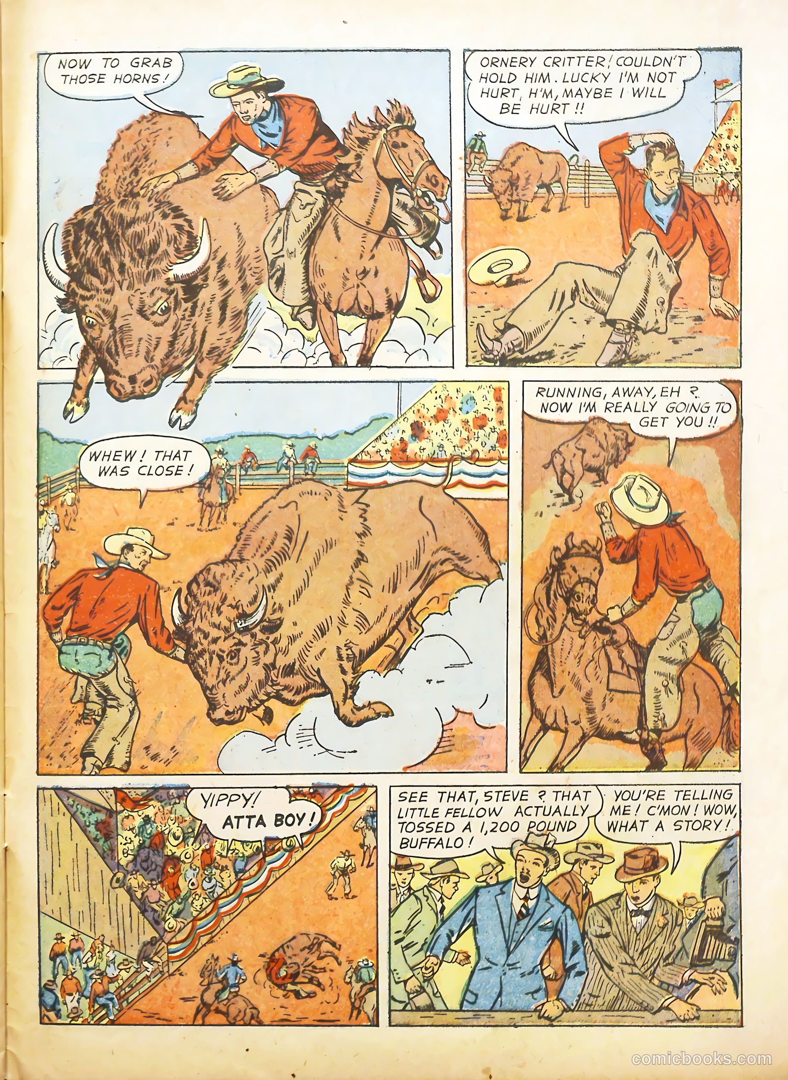 True Animal Picture-Stories #2 — page 27 of 35